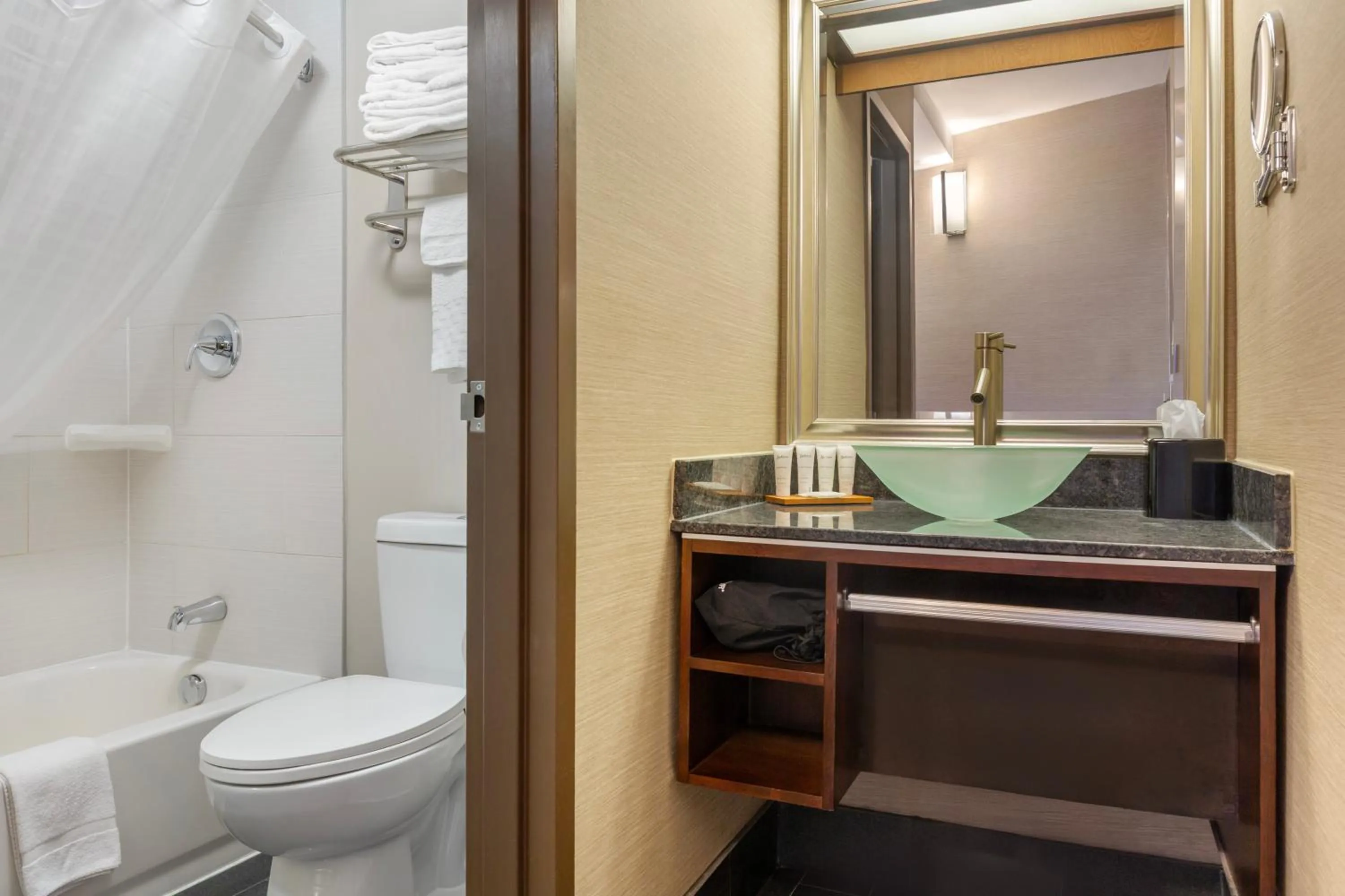 Shower in Radisson Hotel Southfield-Detroit