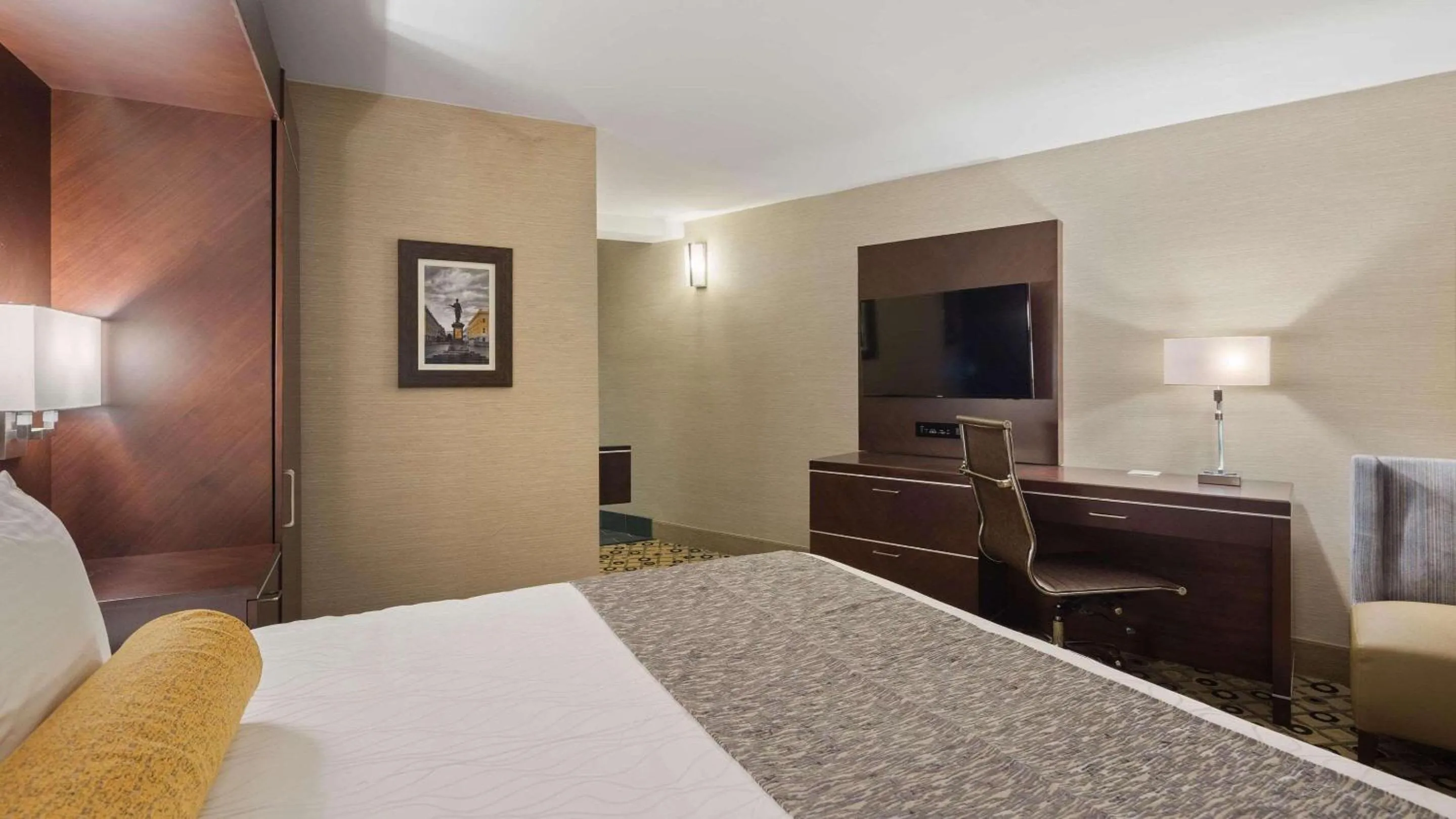 TV and multimedia, Bed in Radisson Hotel Southfield-Detroit