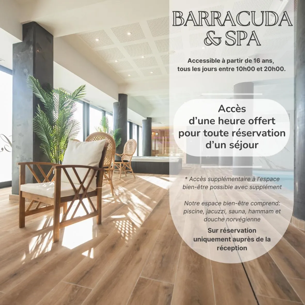 Le Barracuda & Spa, Centre Port, pieds dans l'eau, vue mer