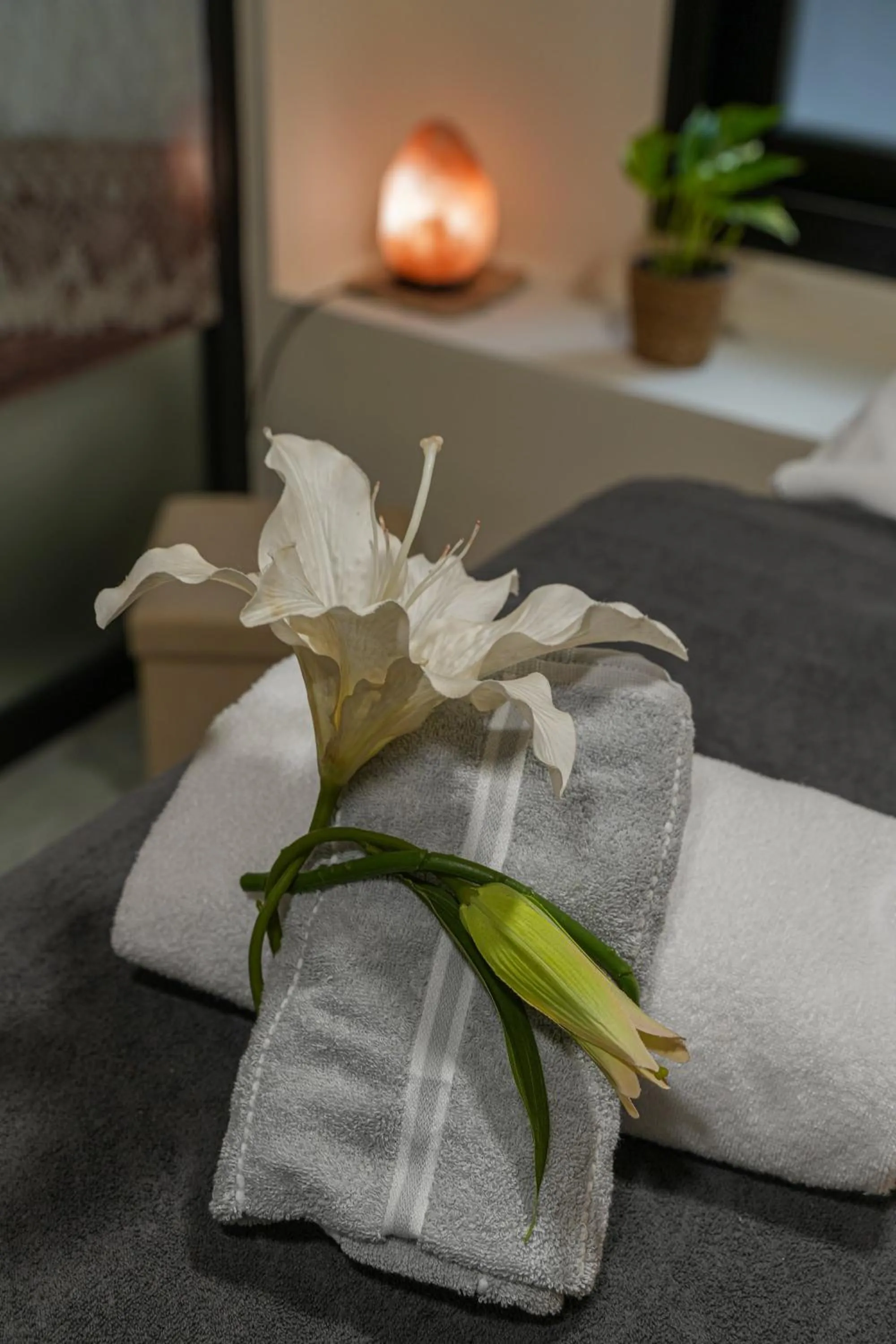 Massage, Bed in Sercotel Playa Canteras
