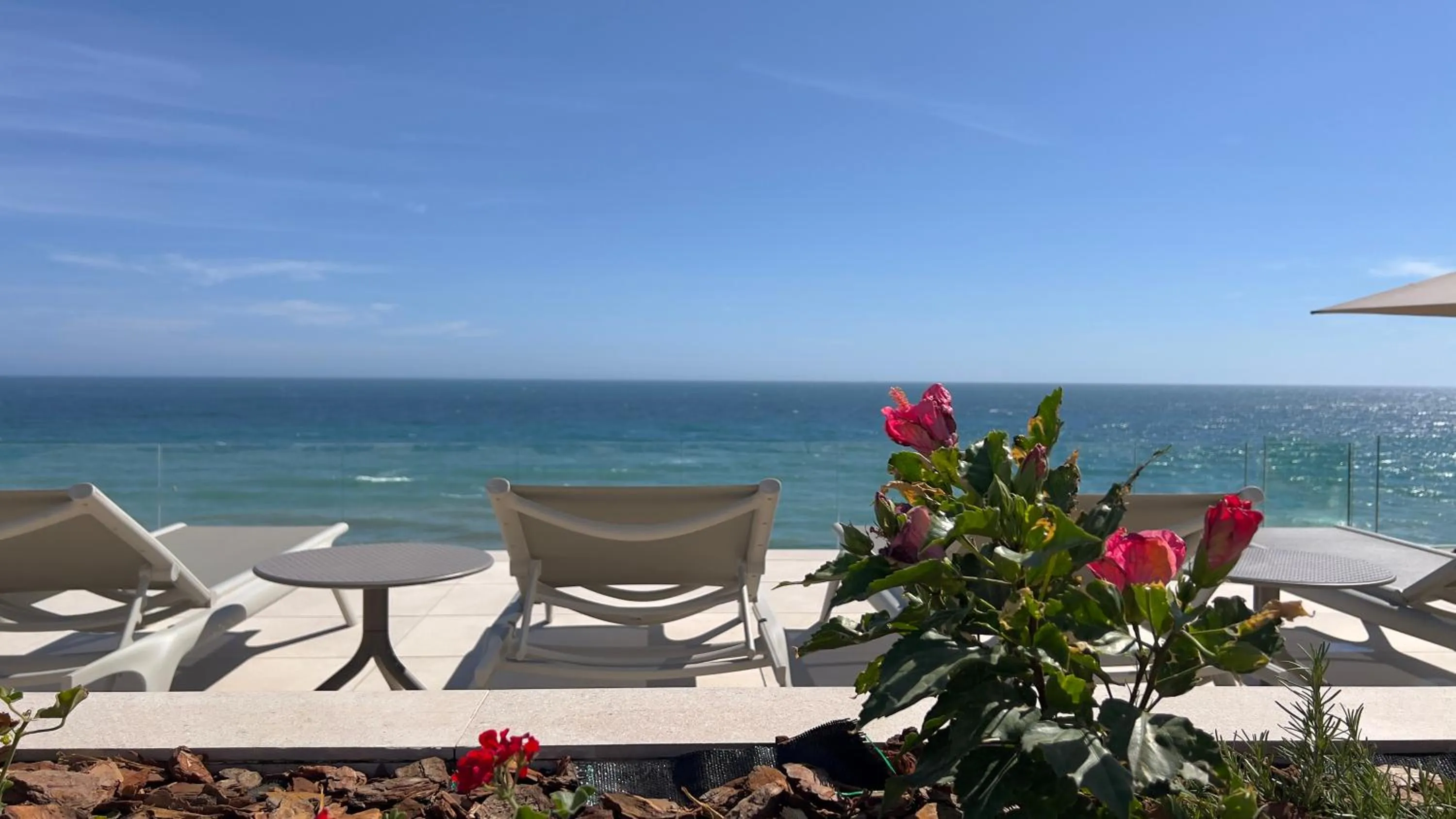 Swimming pool in Perla Marina