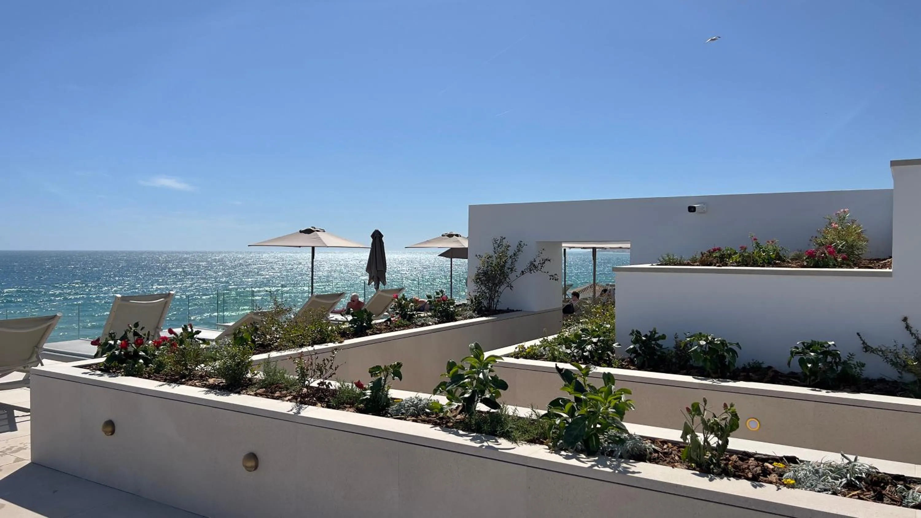 Swimming pool in Perla Marina