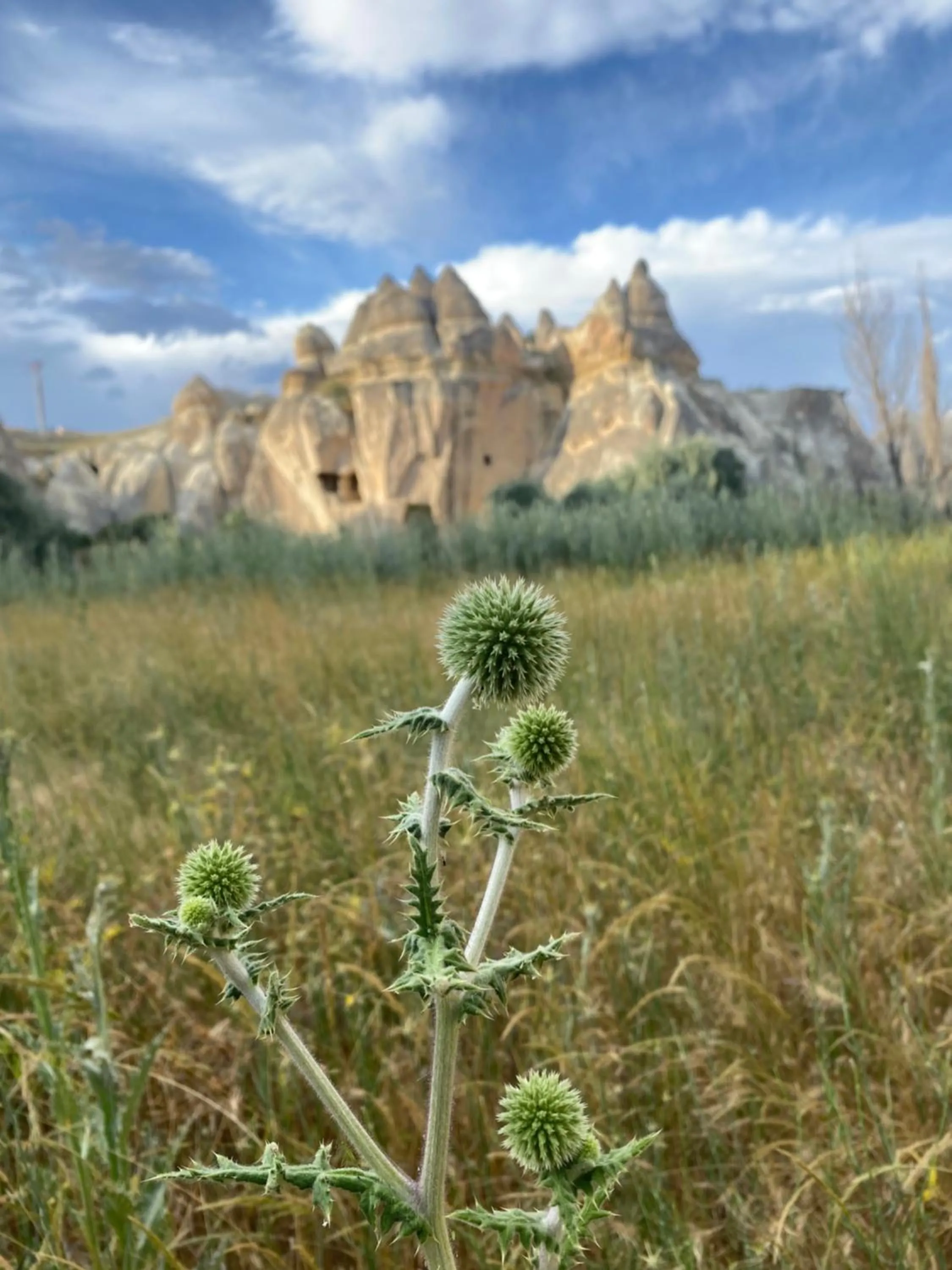 Nearby landmark in Sinasos Evleri