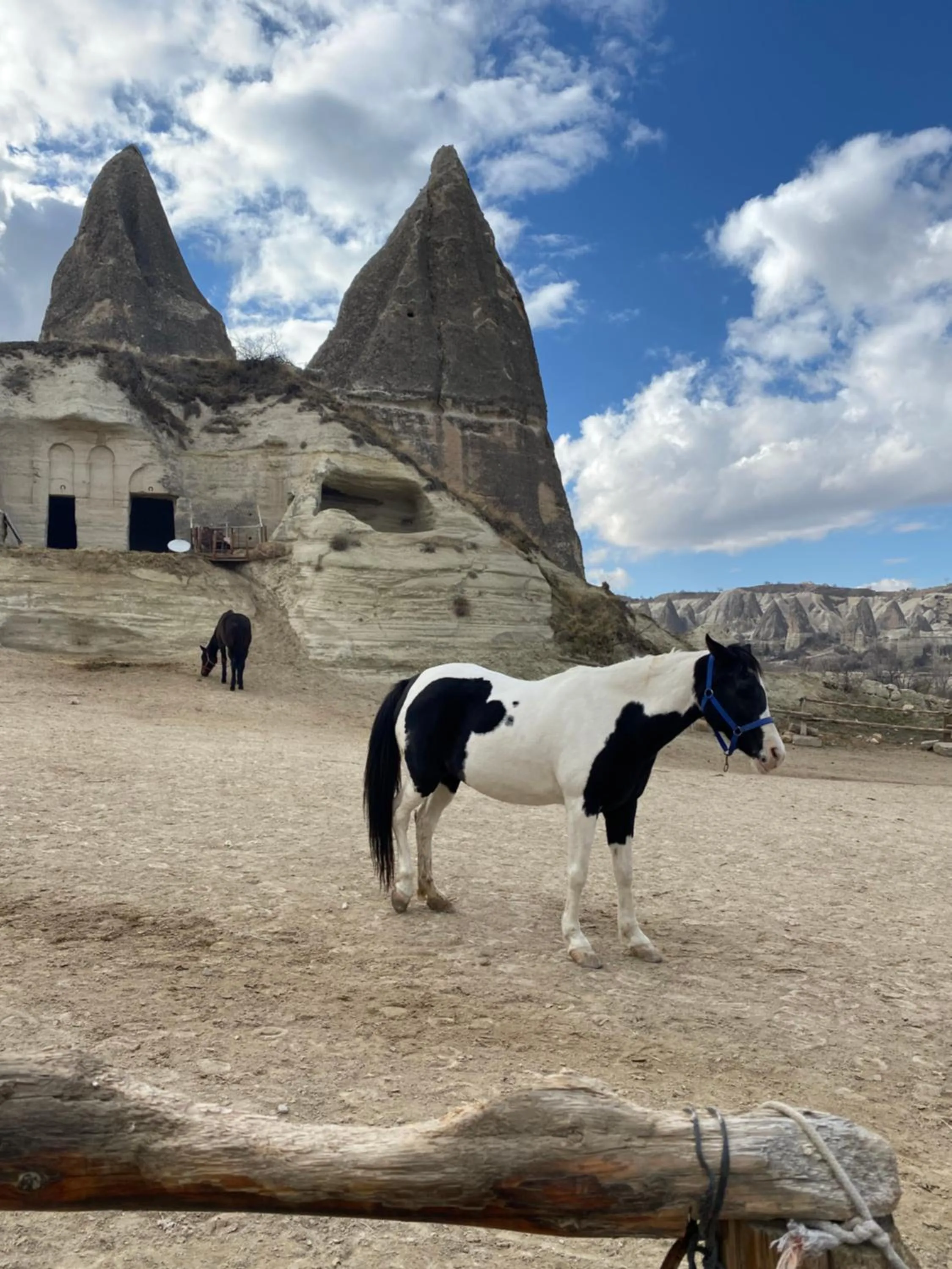 Activities in Sinasos Evleri