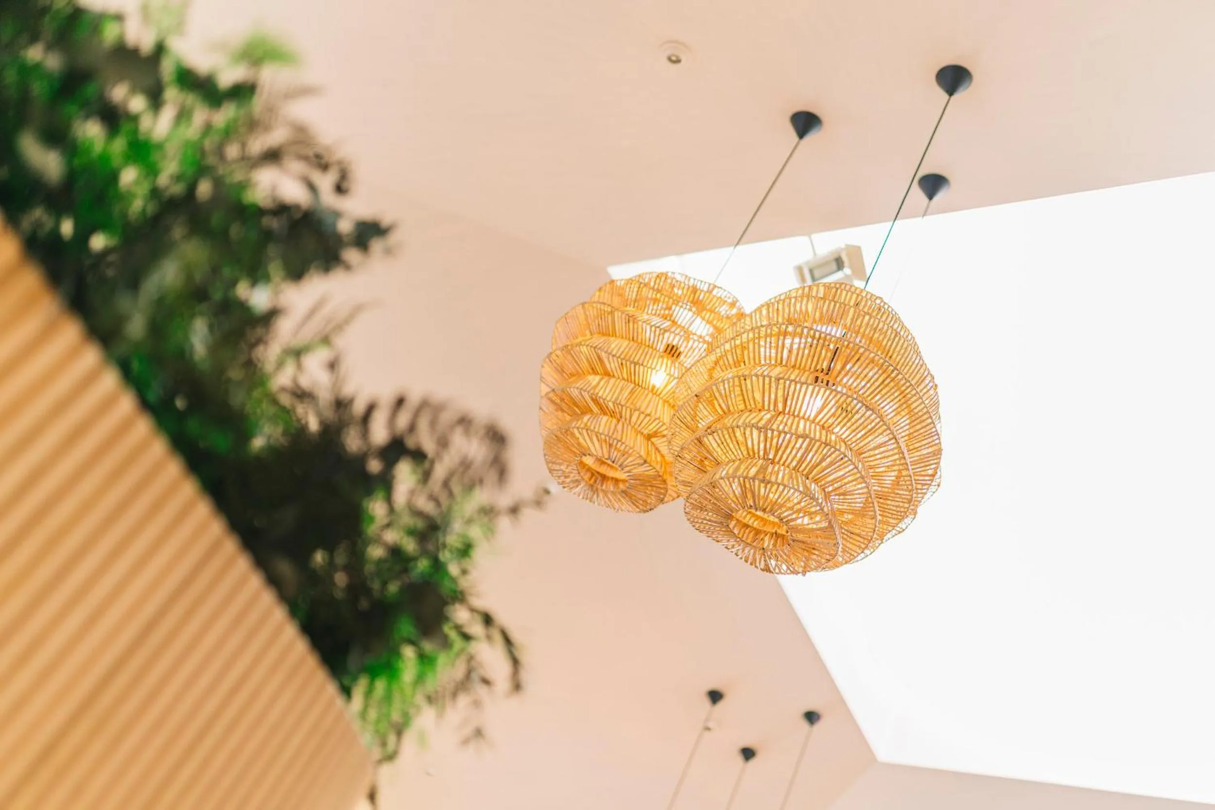 Lounge or bar in Miracielos