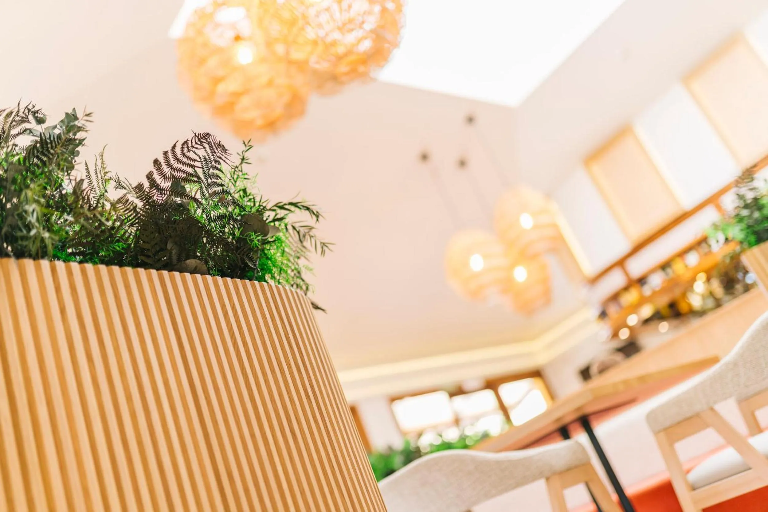 Lounge or bar in Miracielos