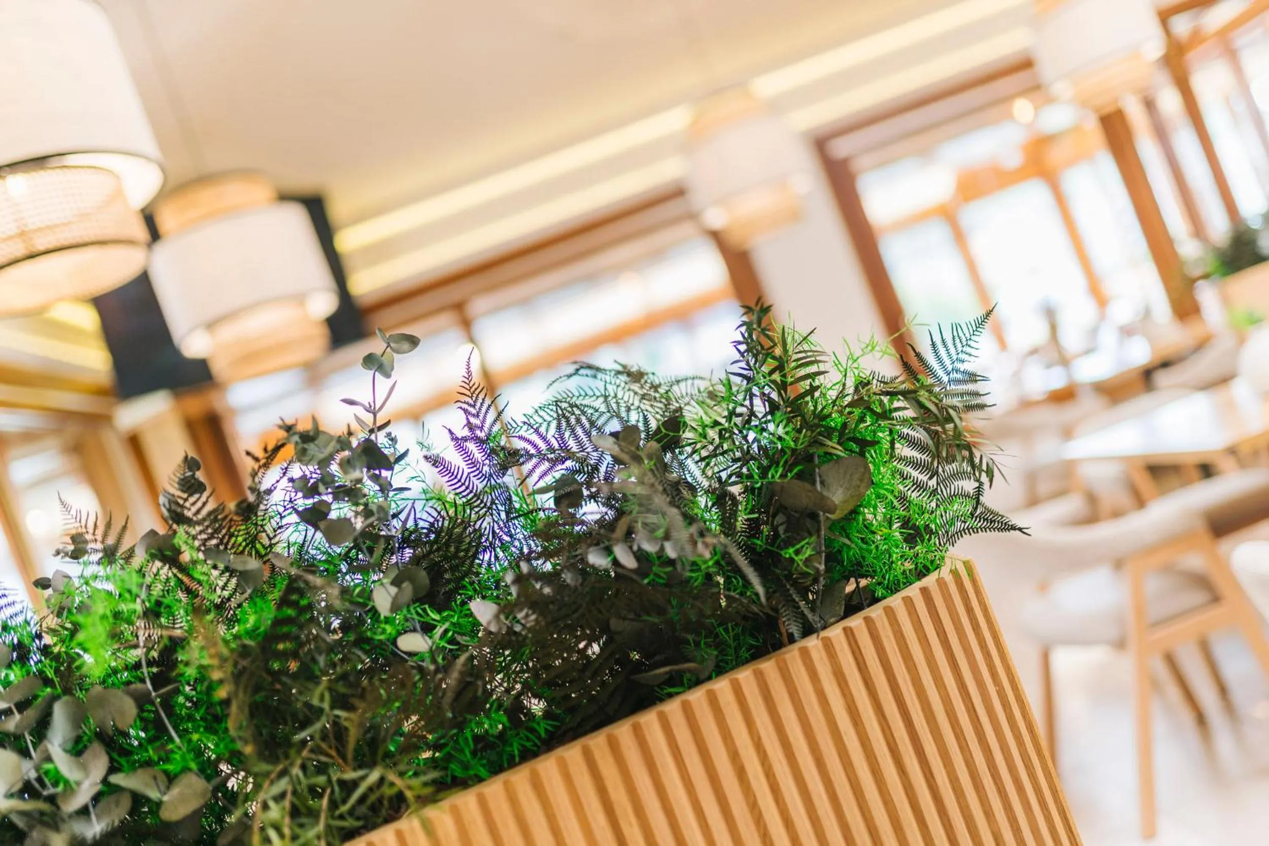 Lounge or bar in Miracielos