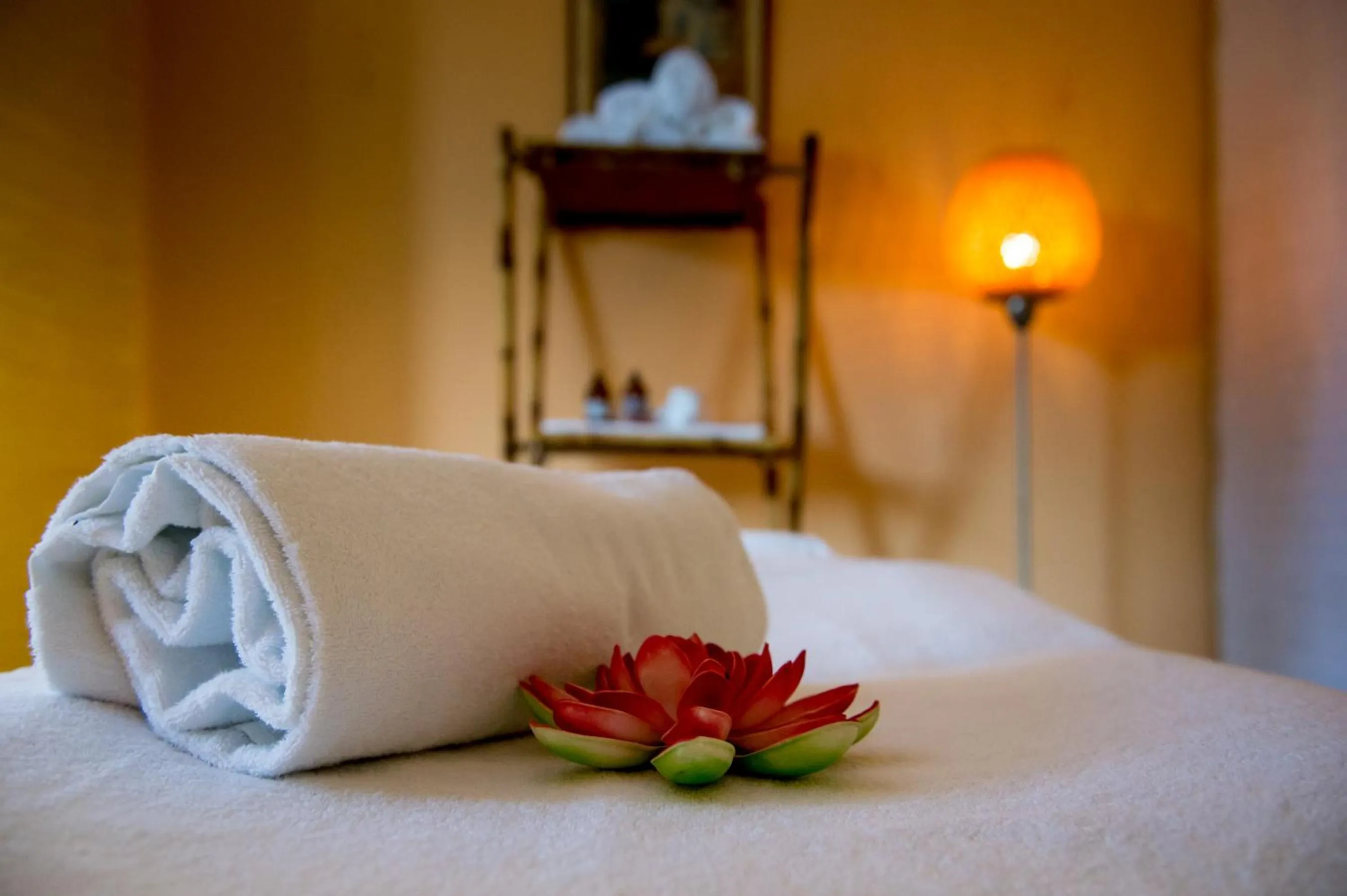 Massage, Bed in Hotel Bonalba Alicante