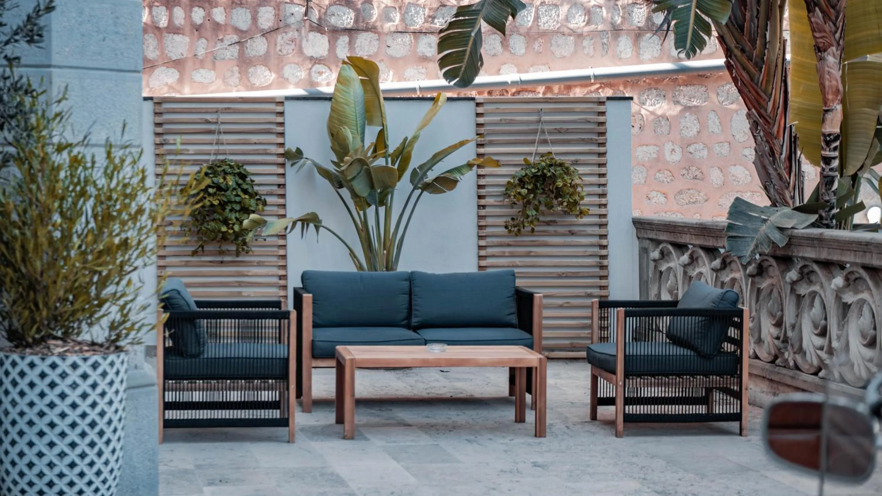 Area and facilities in Gran Hotel Soller