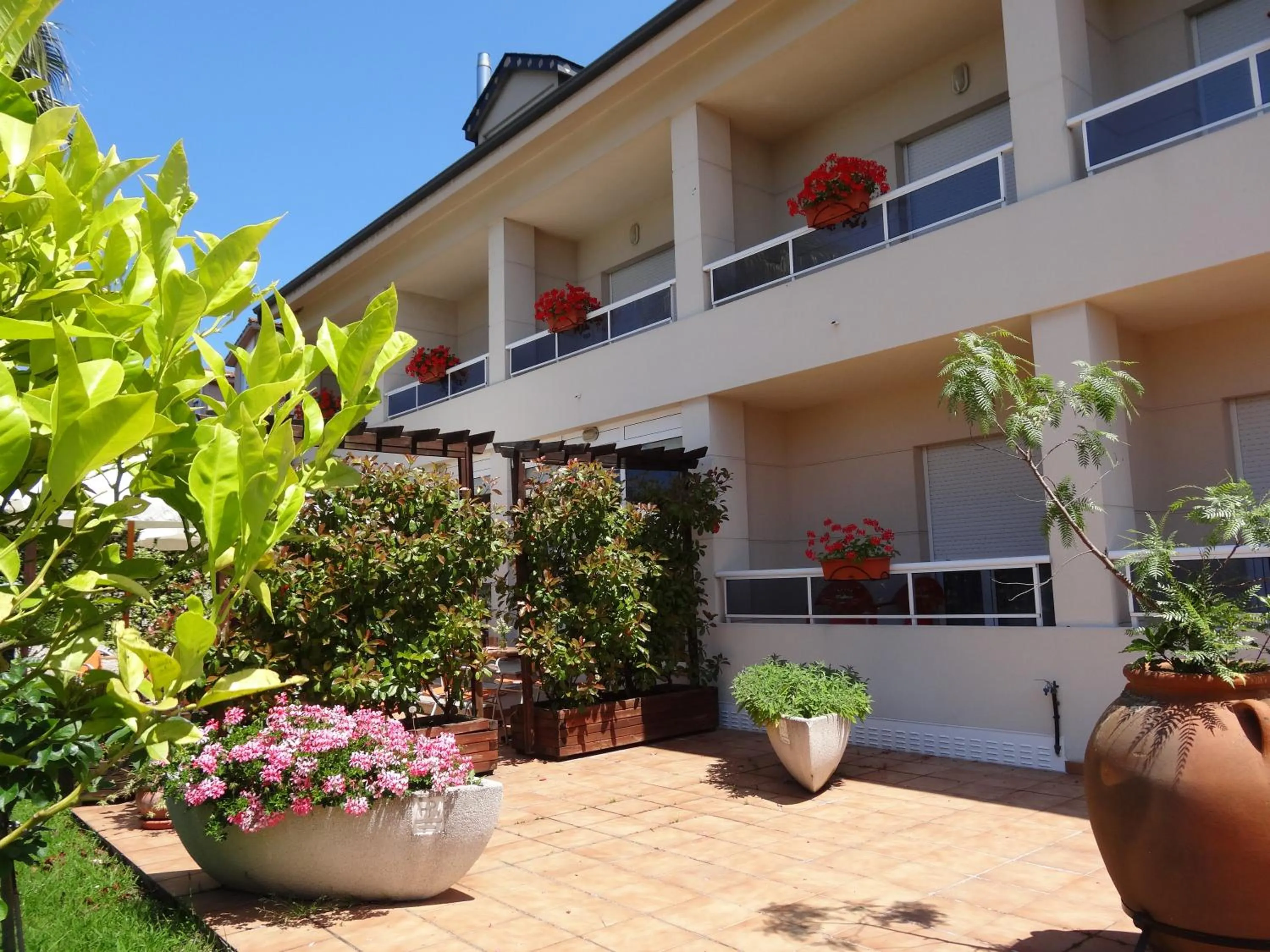 Garden in Hotel El Pescador