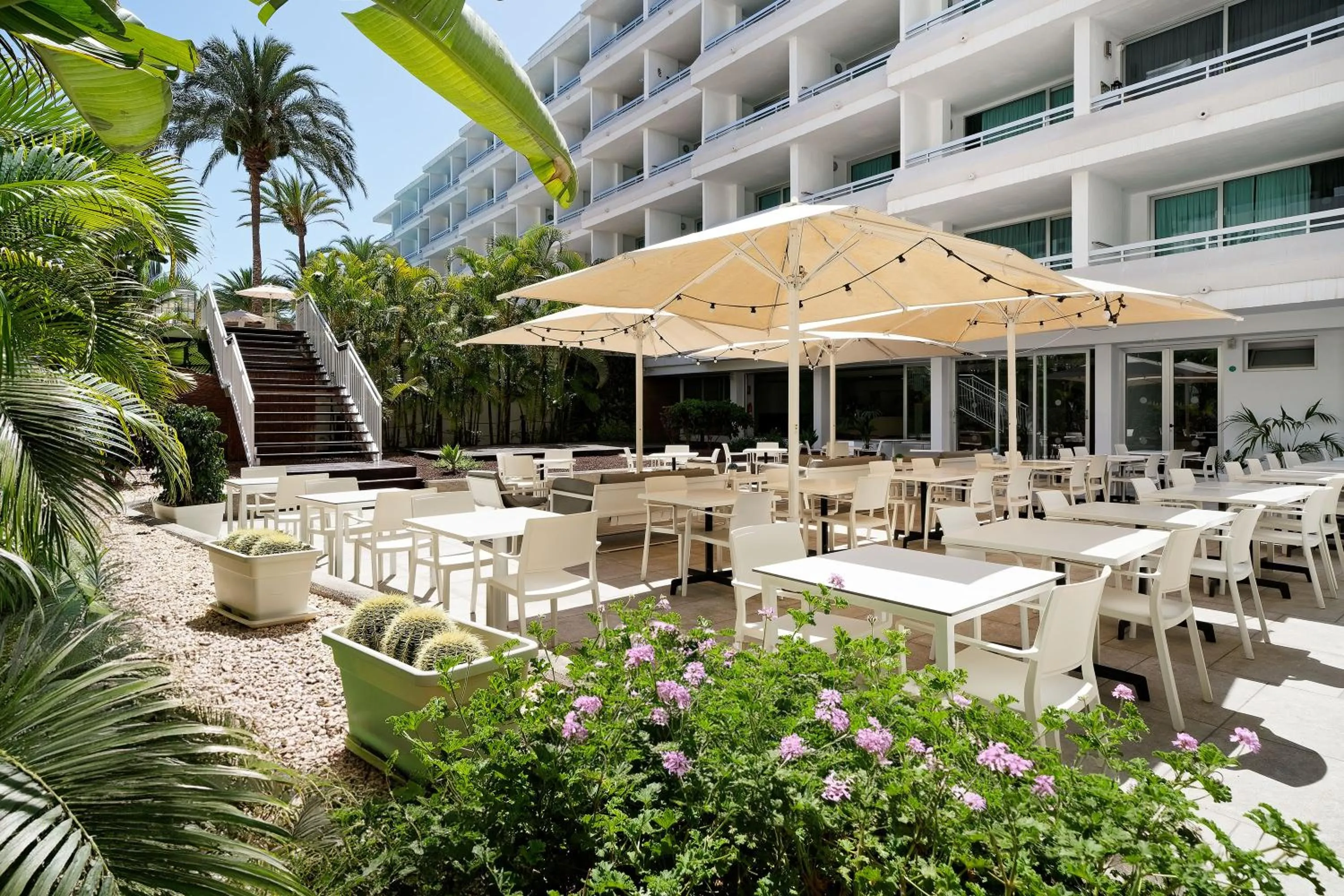 Restaurant/Places to Eat in Labranda Bronze Playa