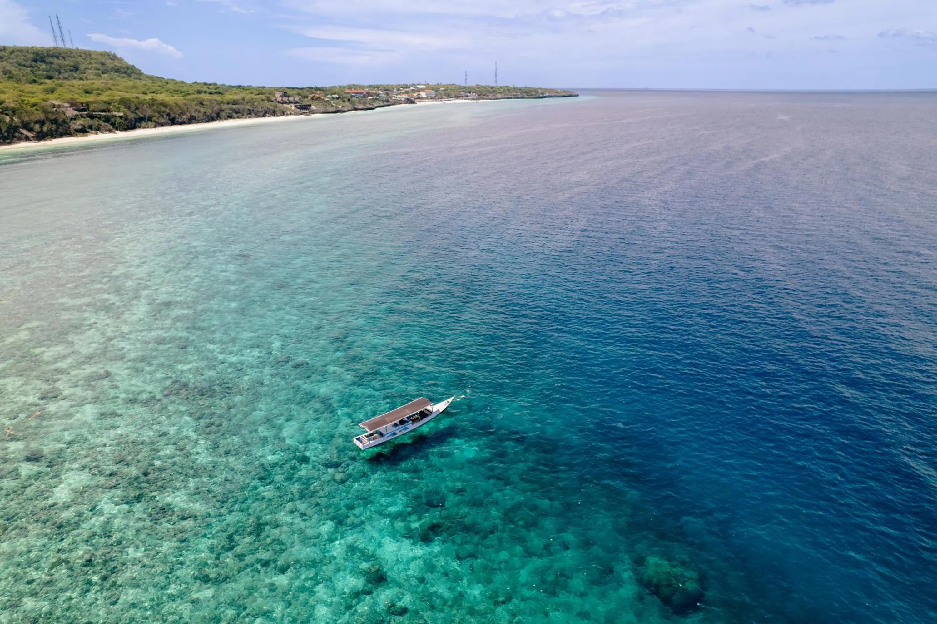 Diving in Seascapes Bira