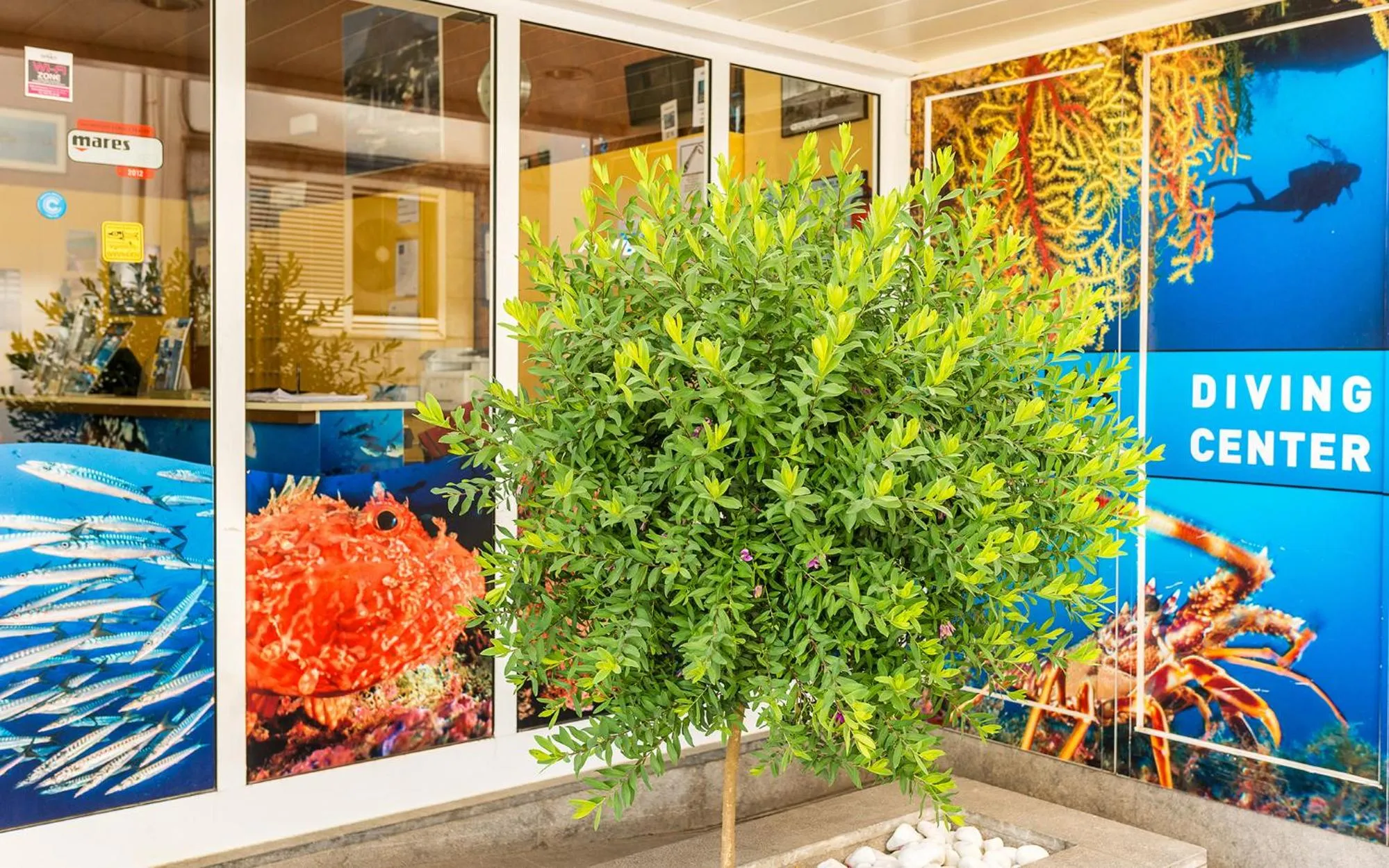 Property building in Hotel & Diving Les Illes