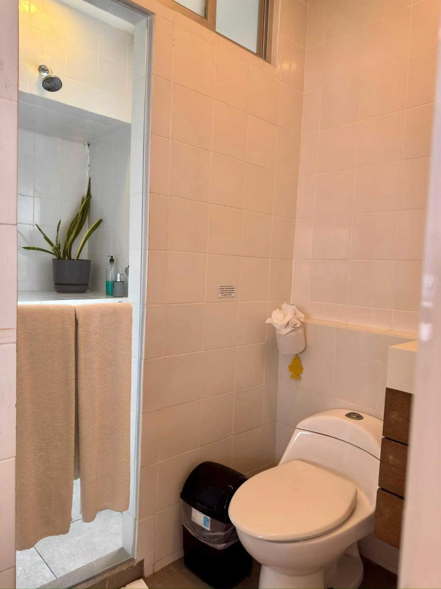 Papaya Condo Acapulco Diamante -Solo Adultos