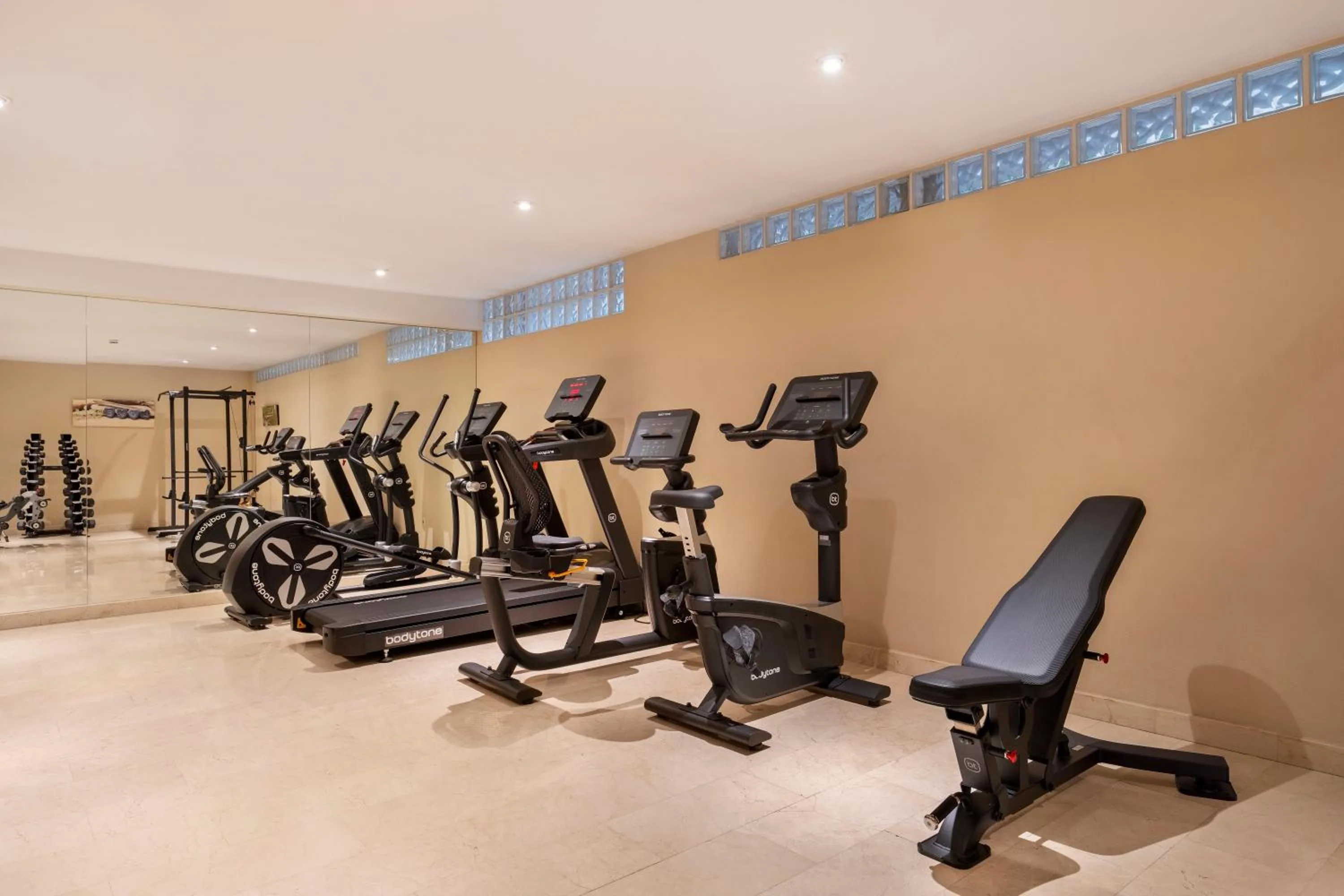 Fitness centre/facilities in Eurostars Plaza Acueducto