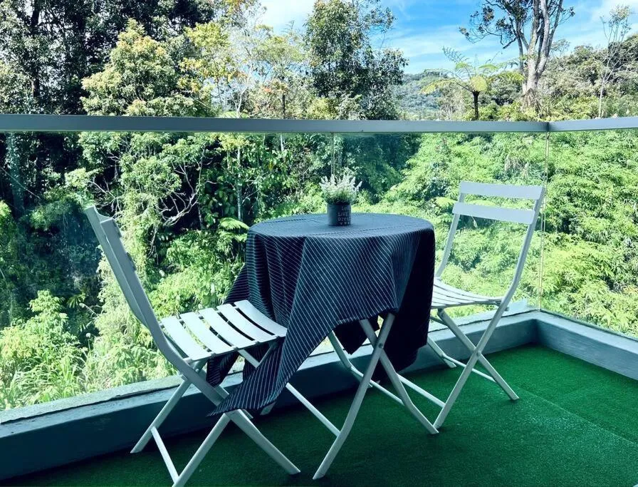 Cozystay @ The Quintet, Cameron