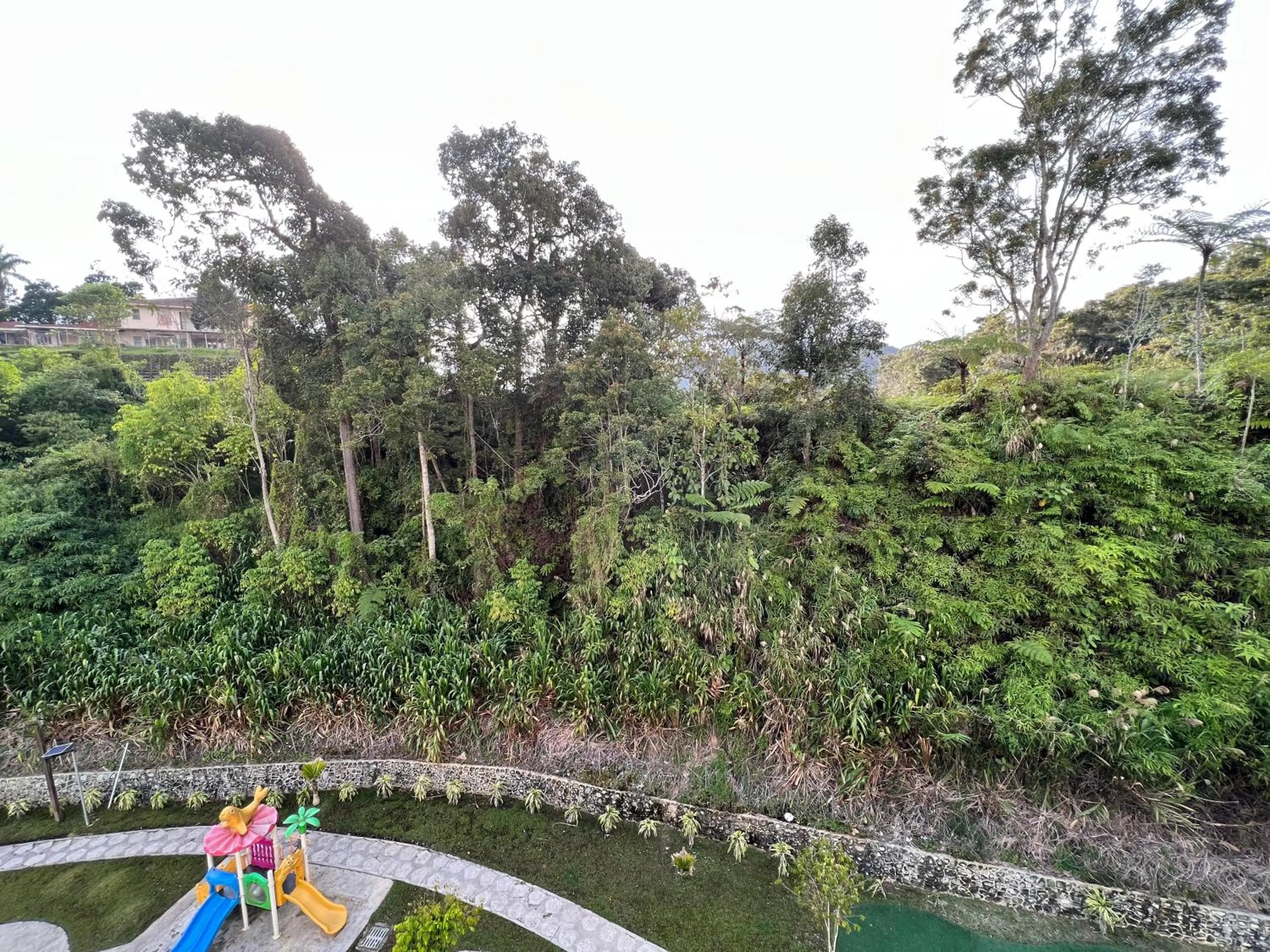 Natural landscape in Cozystay @ The Quintet, Cameron