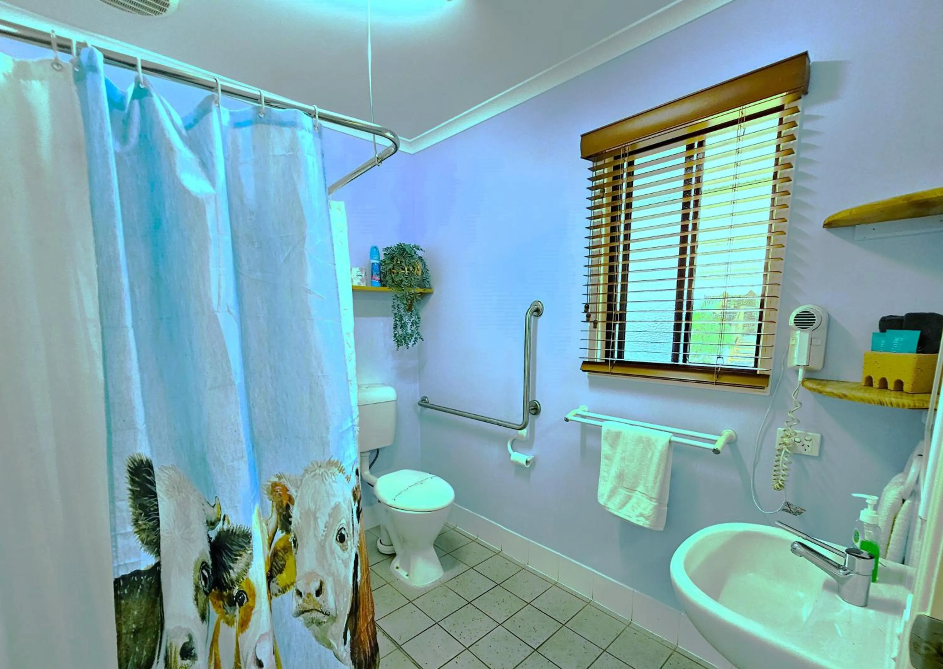 Shower in Kilcoy Motel