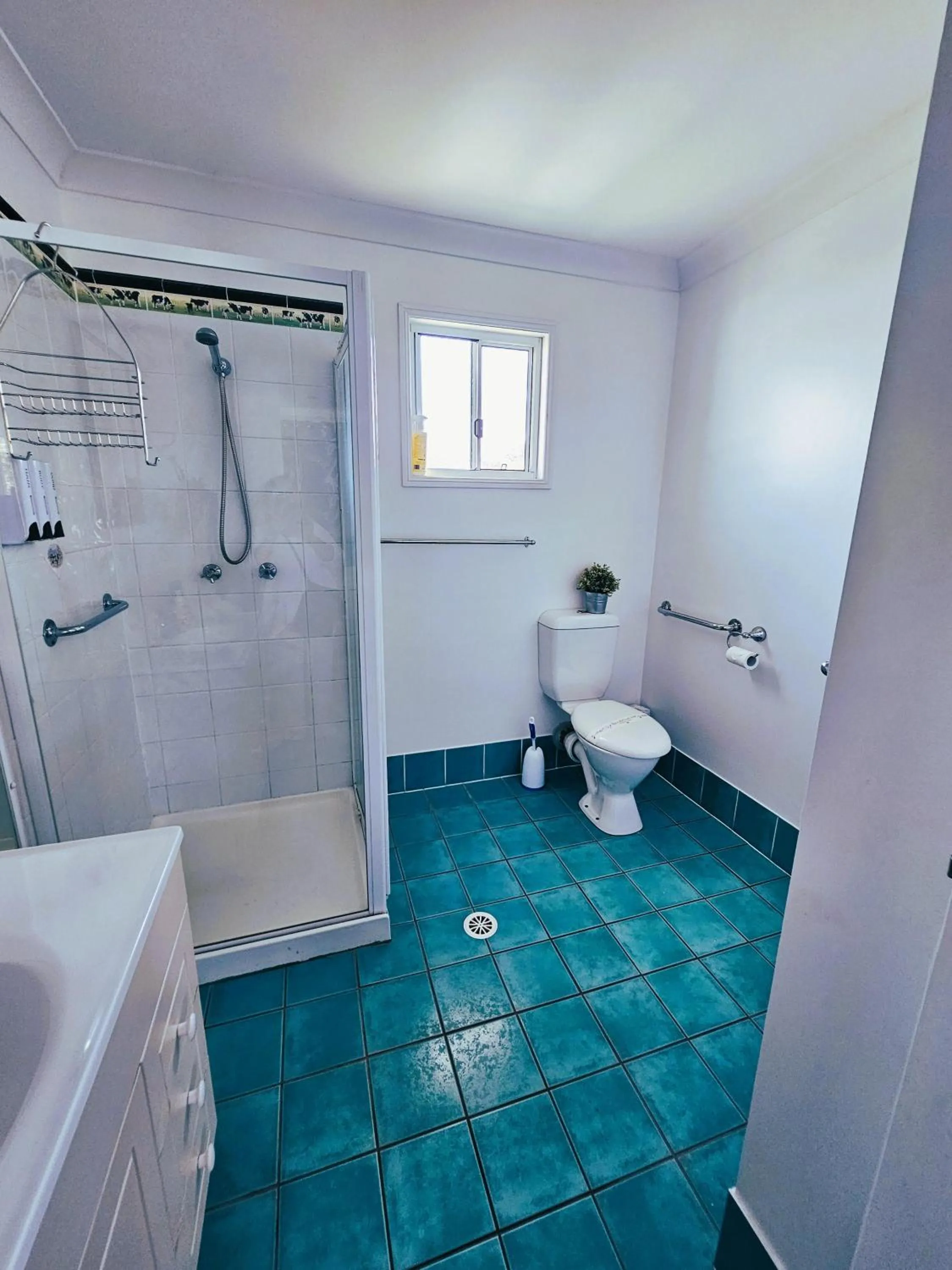 Shower in Kilcoy Motel