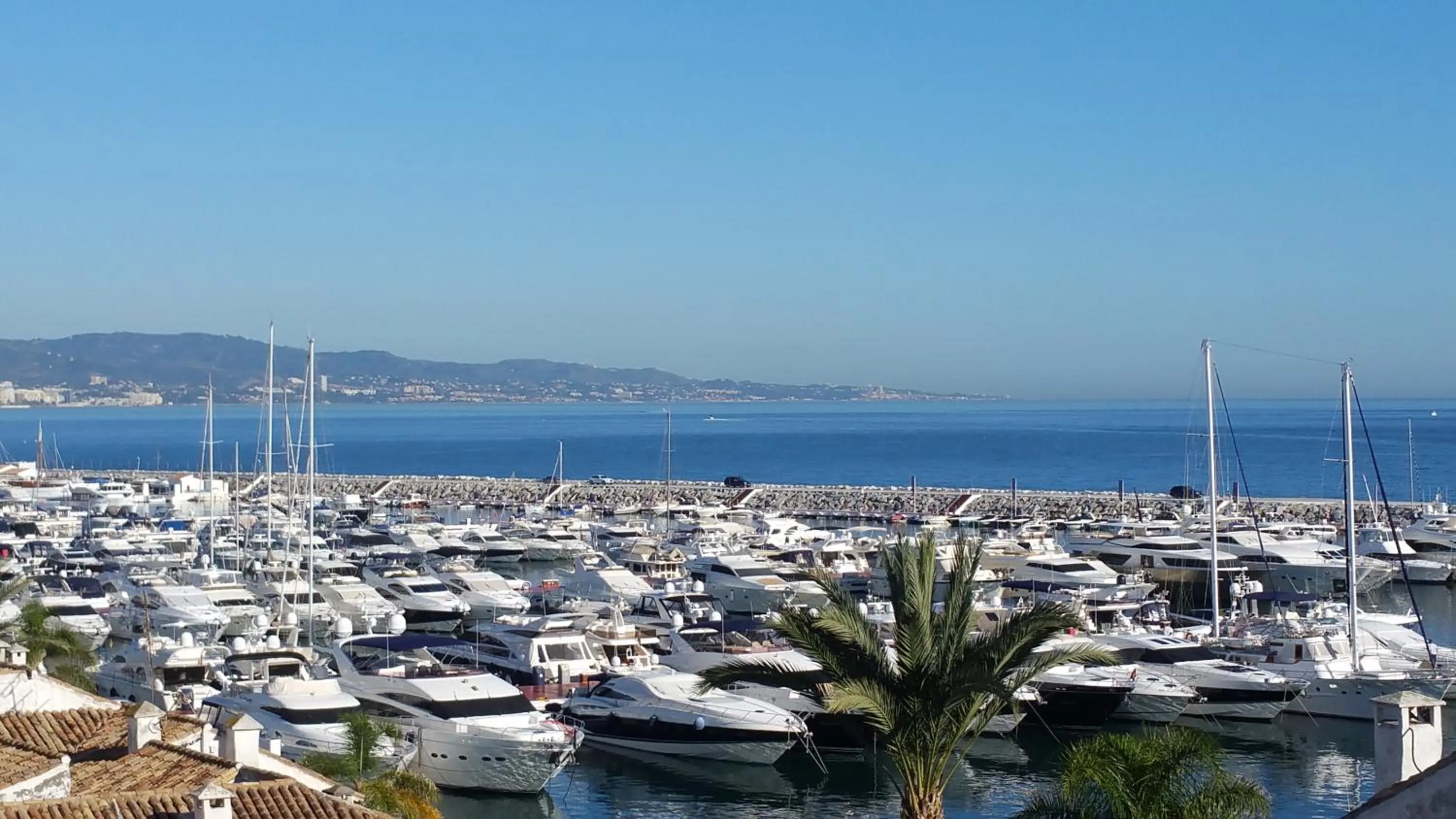 Area and facilities in Park Plaza Suites Apartamentos