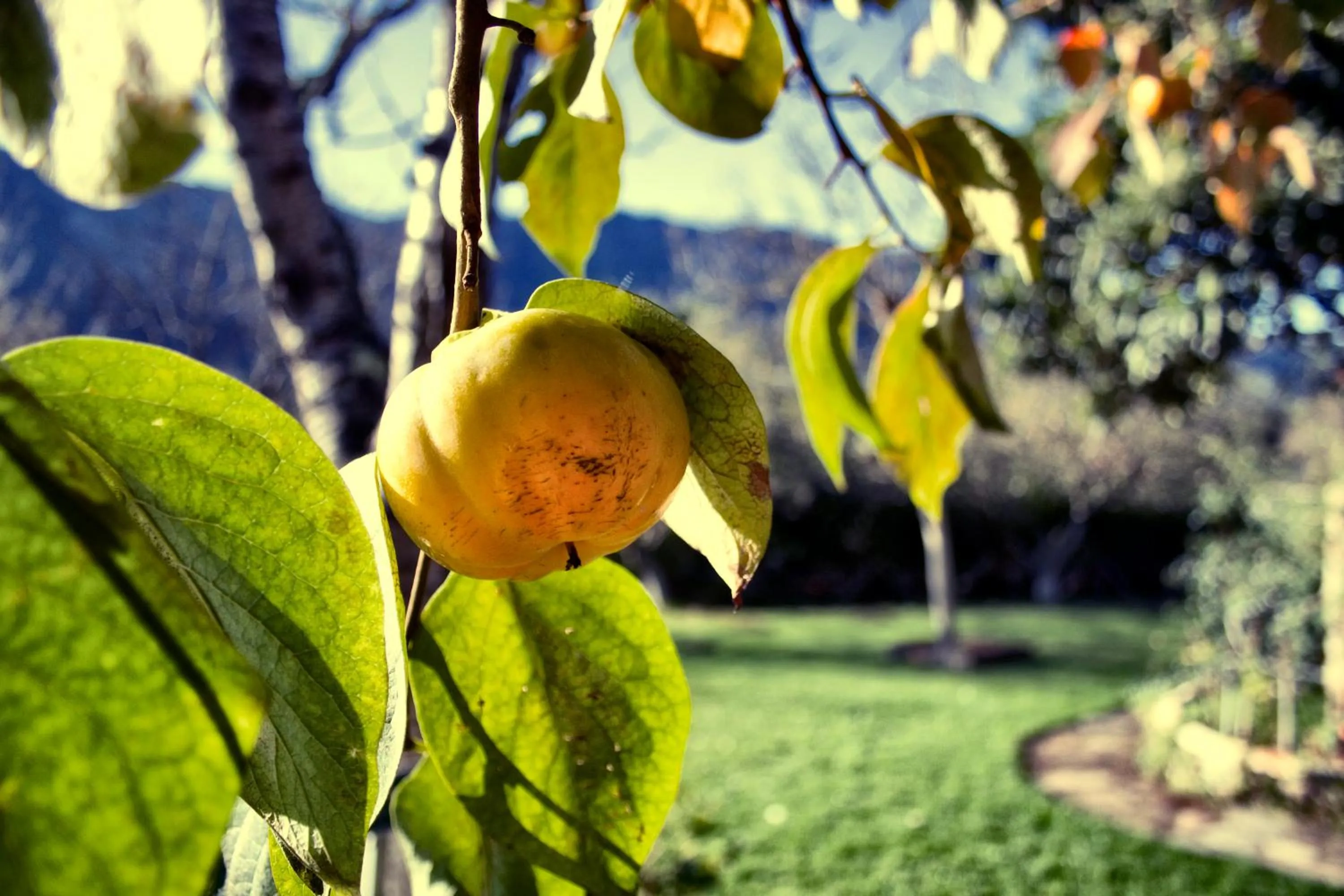 Area and facilities in Hotel La Arquera