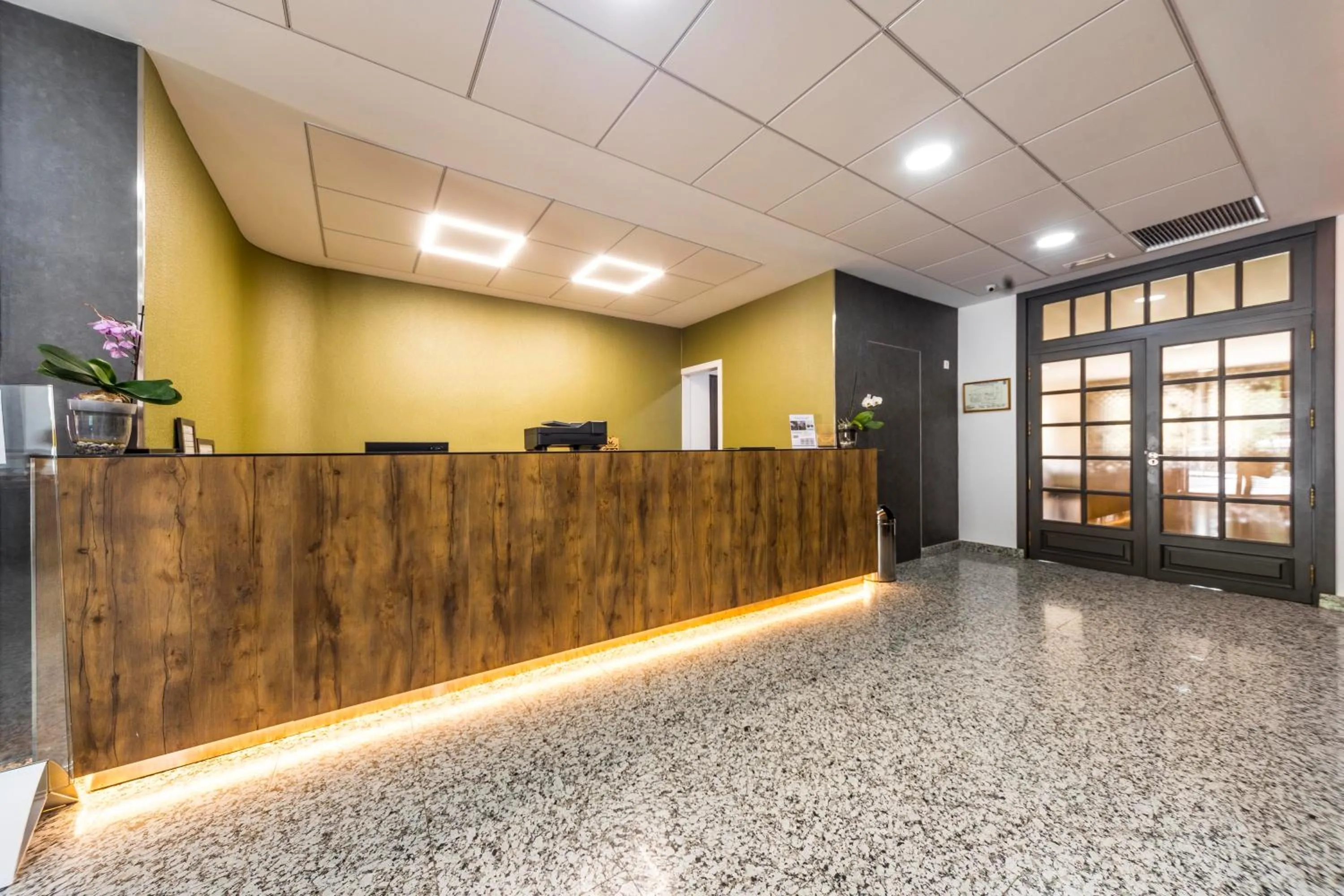 Lobby or reception in Hotel Rosaleda del Mijares