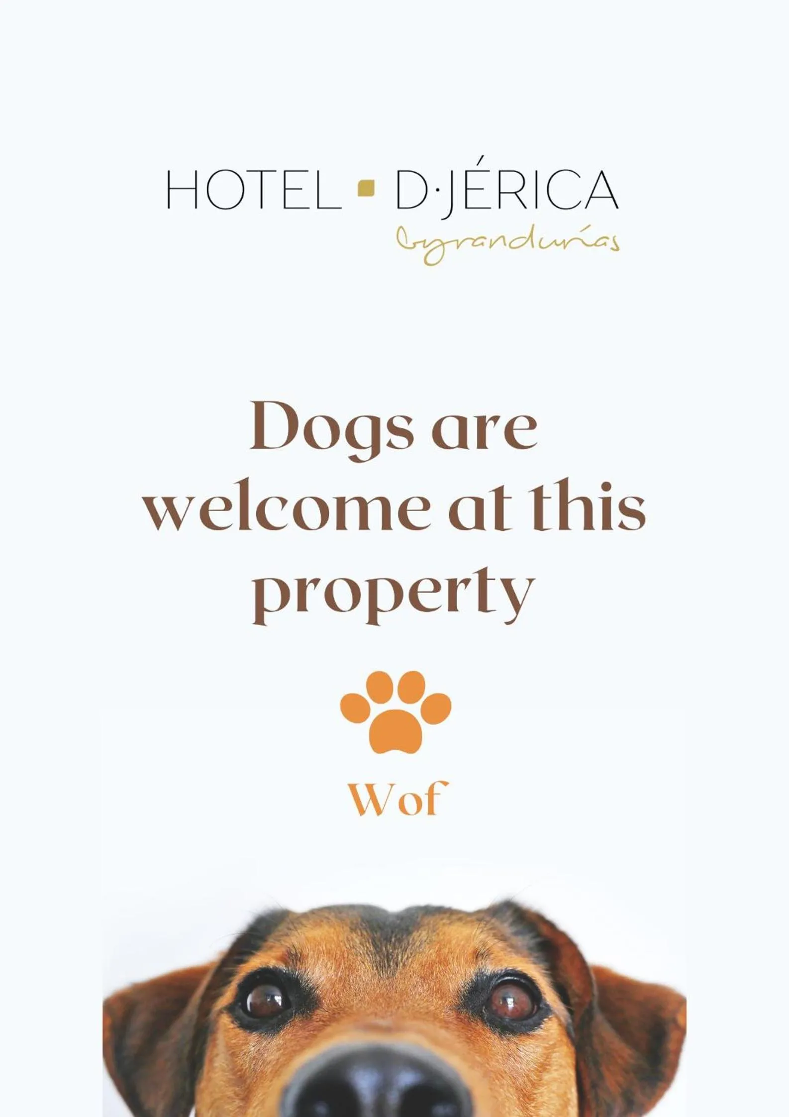 Hotel De Jerica
