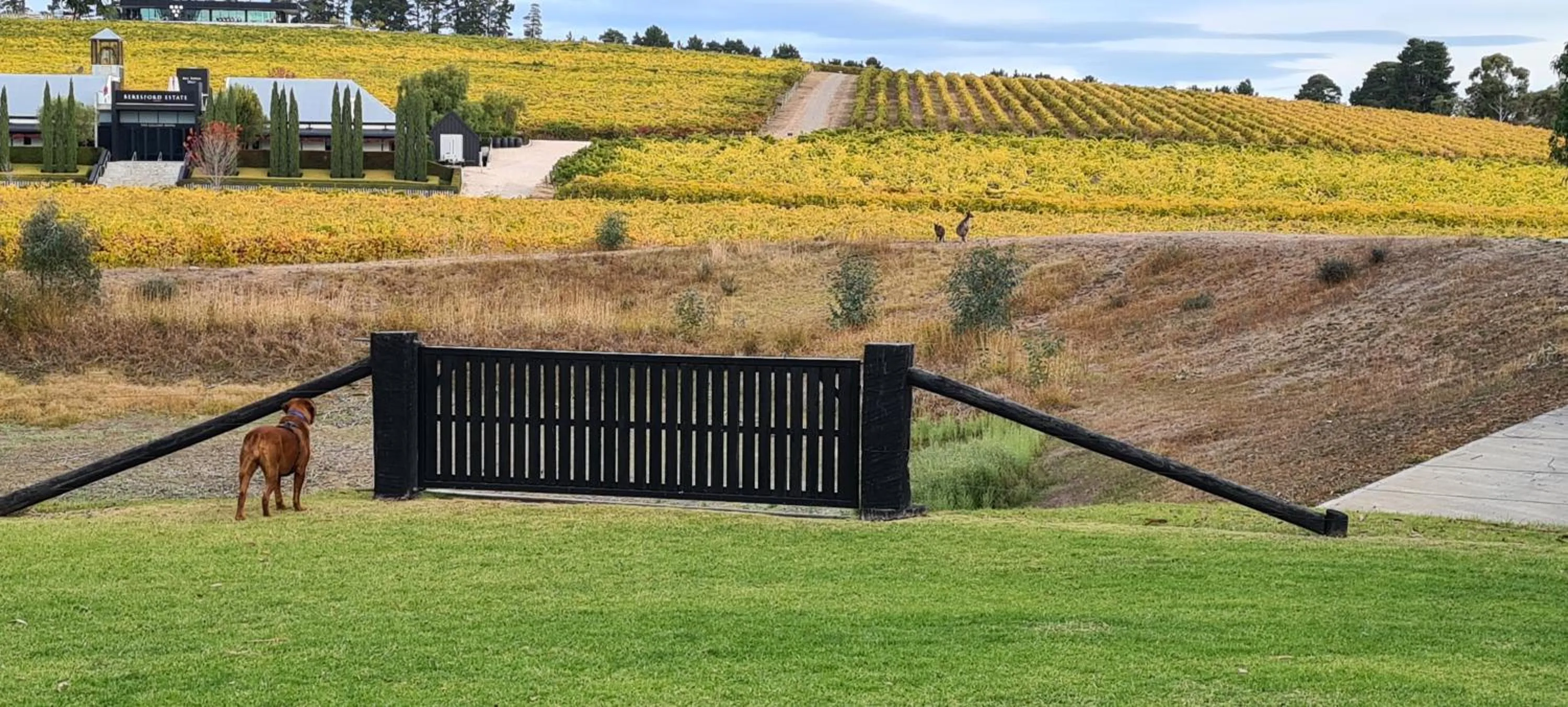 Garden in Beresford Estate