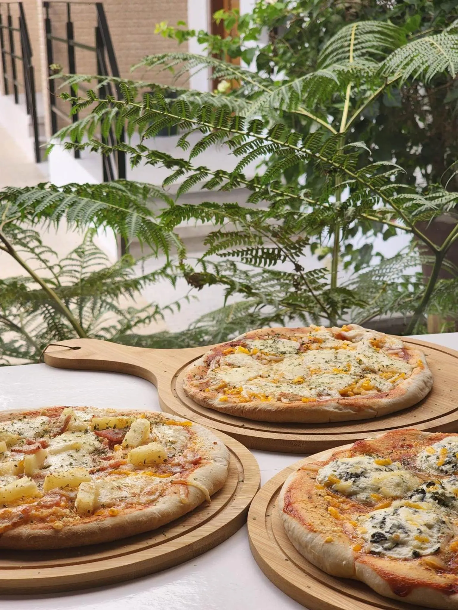 Restaurant/places to eat in Casa De Española Hotel and Resort