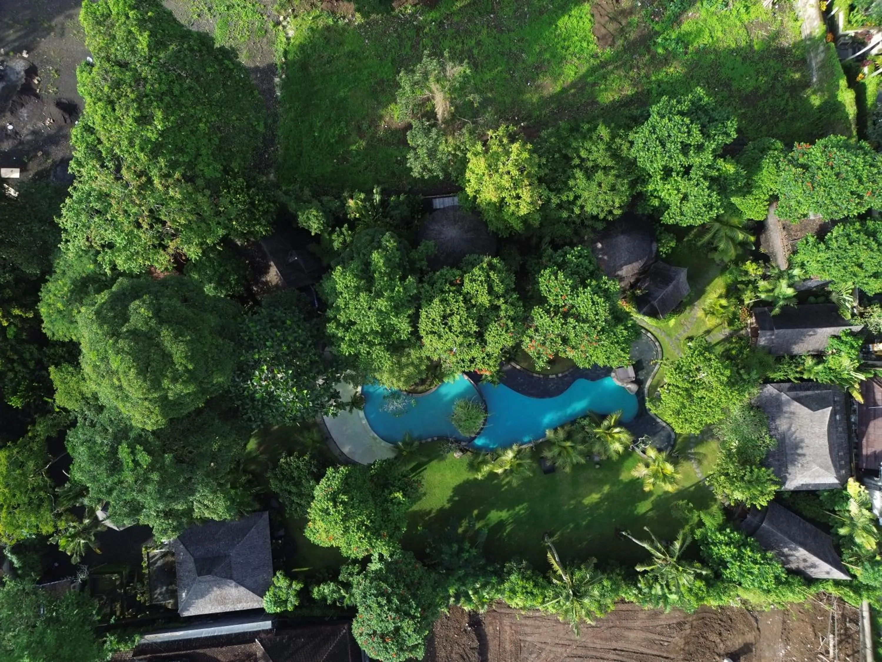 Natural landscape in Green Tree House Villa Ubud