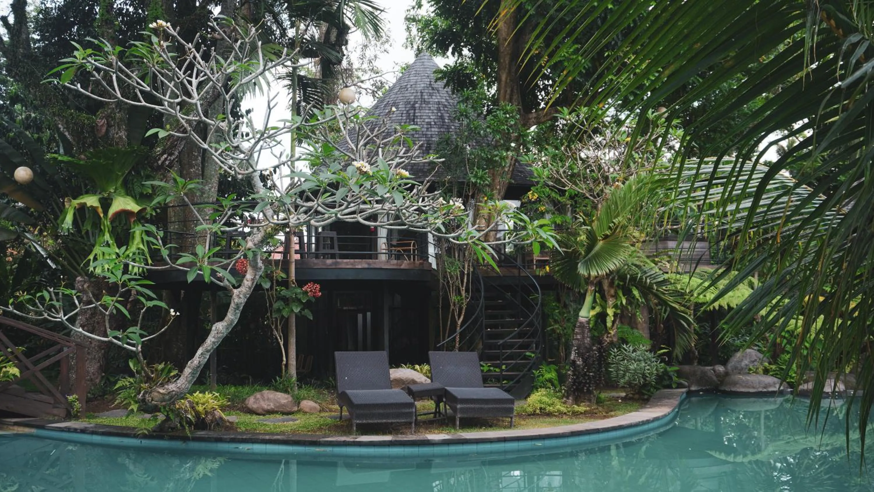 Swimming pool in Green Tree House Villa Ubud