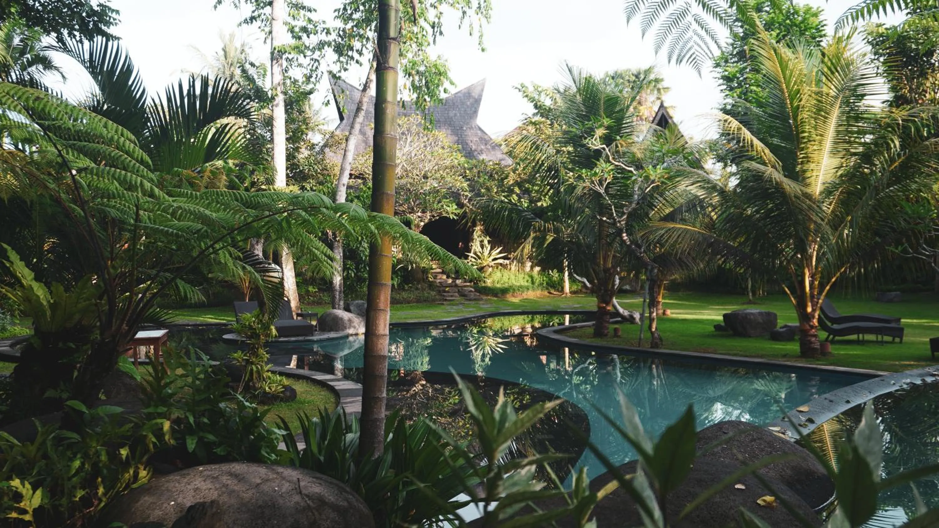 Natural landscape in Green Tree House Villa Ubud