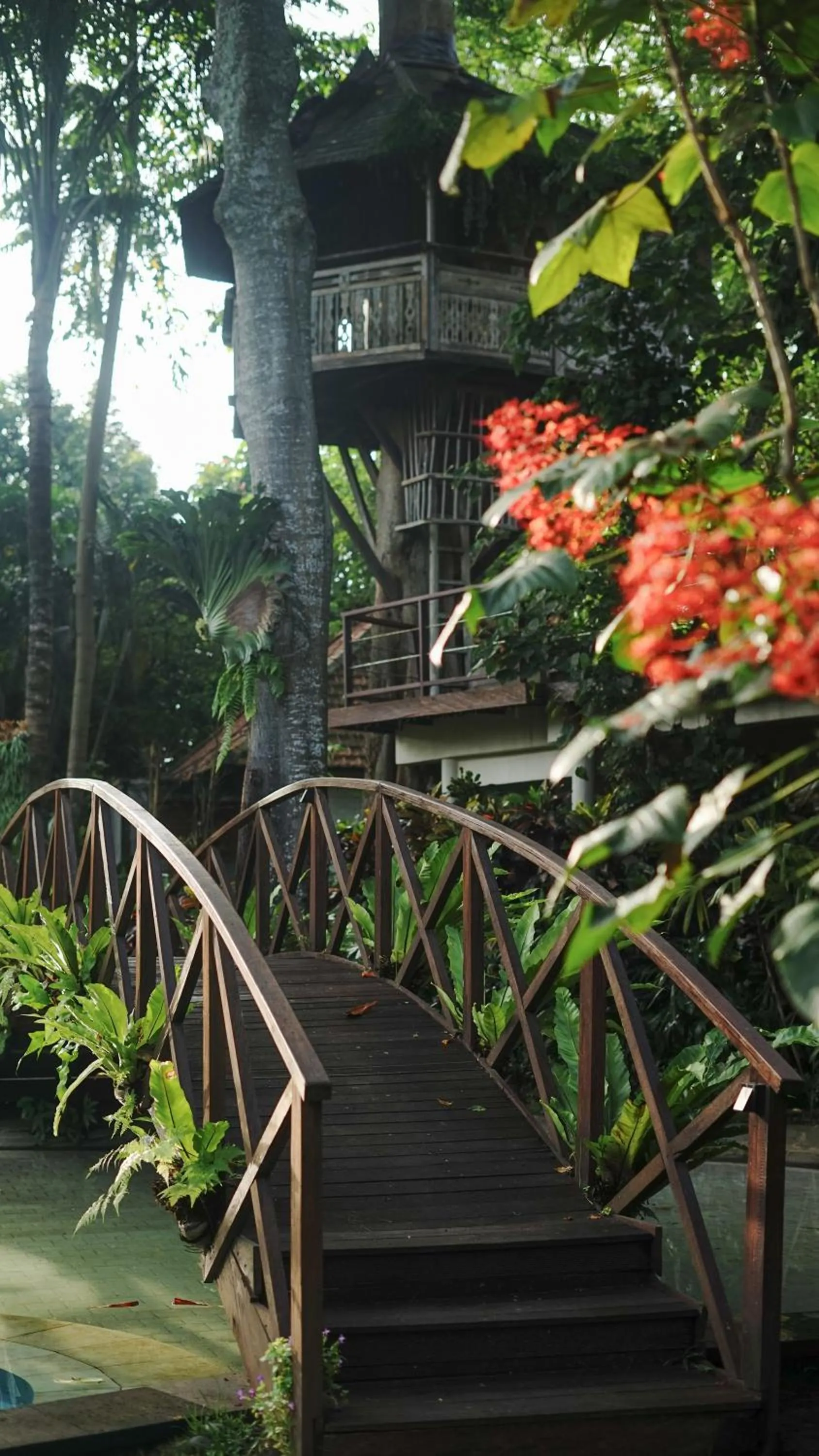 Natural landscape in Green Tree House Villa Ubud