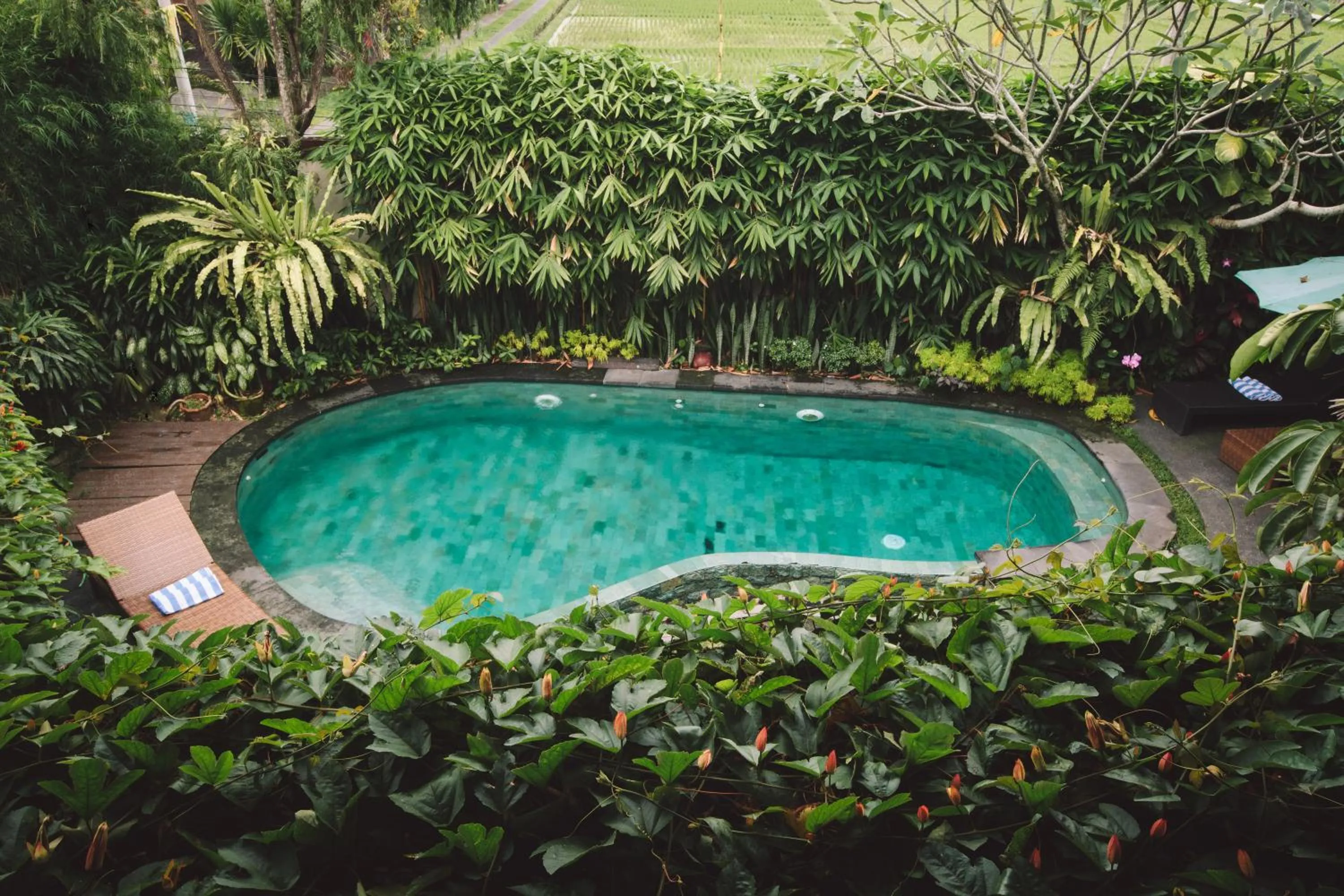 Swimming pool in Dwaraloka Retreat Ubud