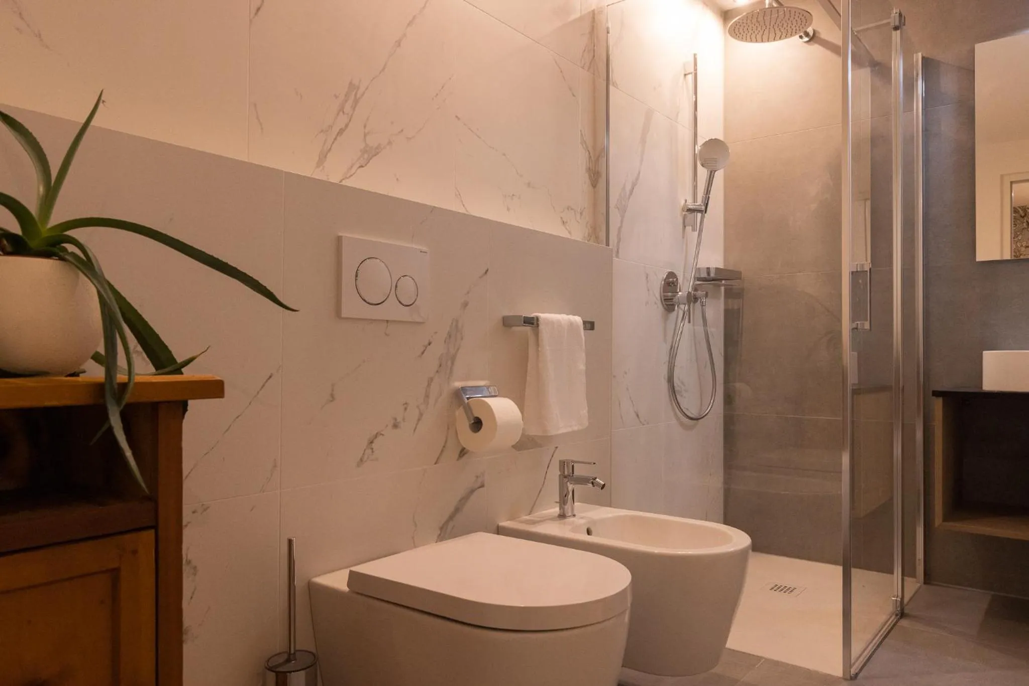 Shower in Apartment Ando