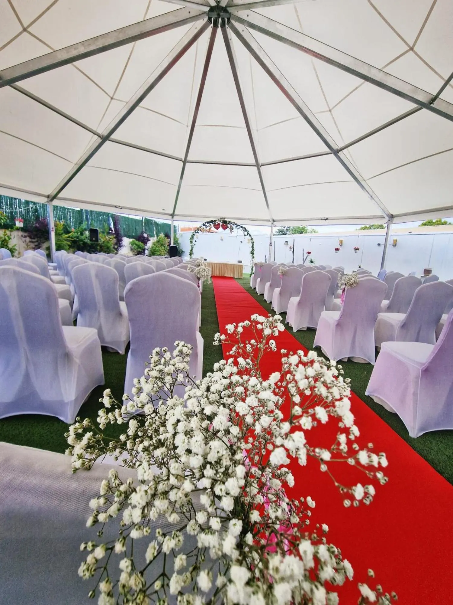 Garden in Hotel Bardo Recoletos Coco