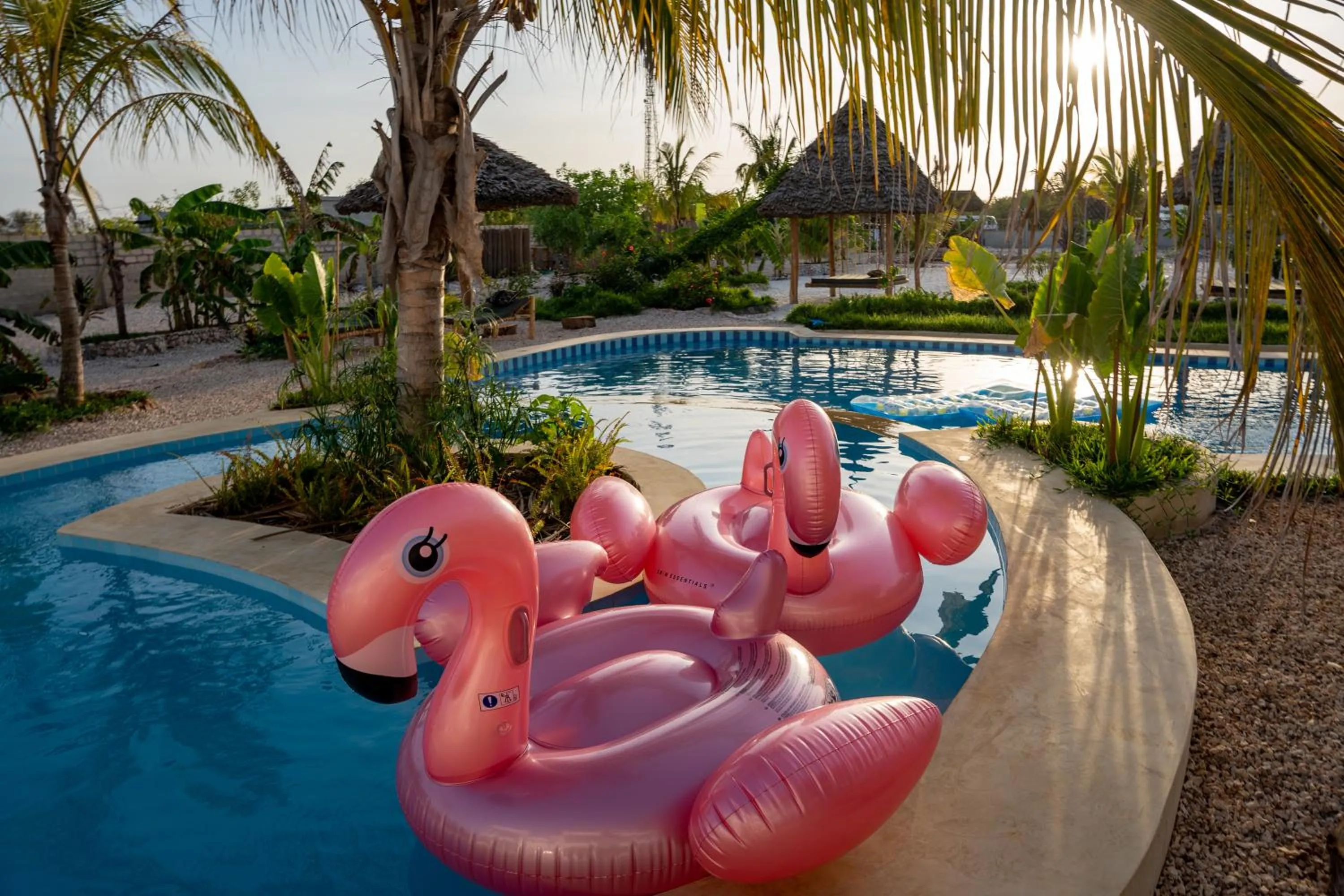 Swimming pool in Haber Hotel & SPA