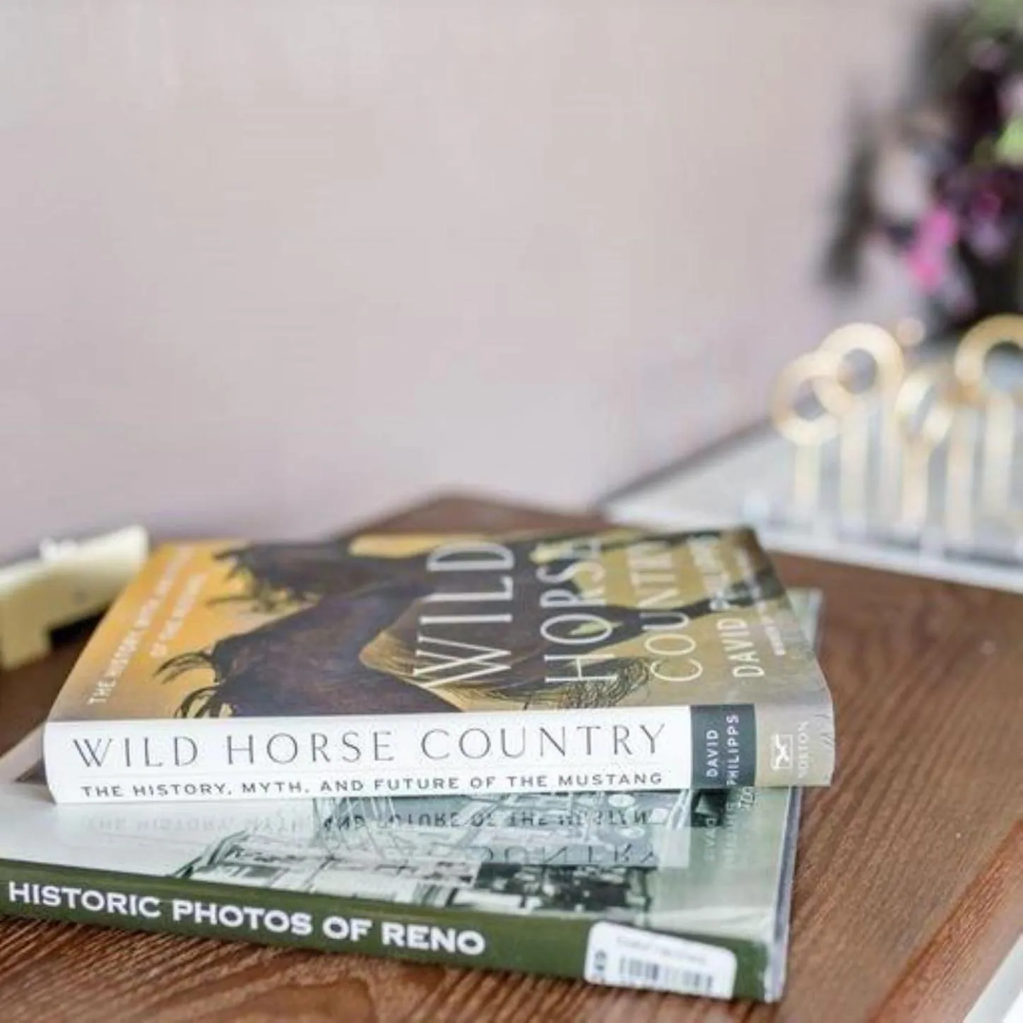 Library in Panorama Place