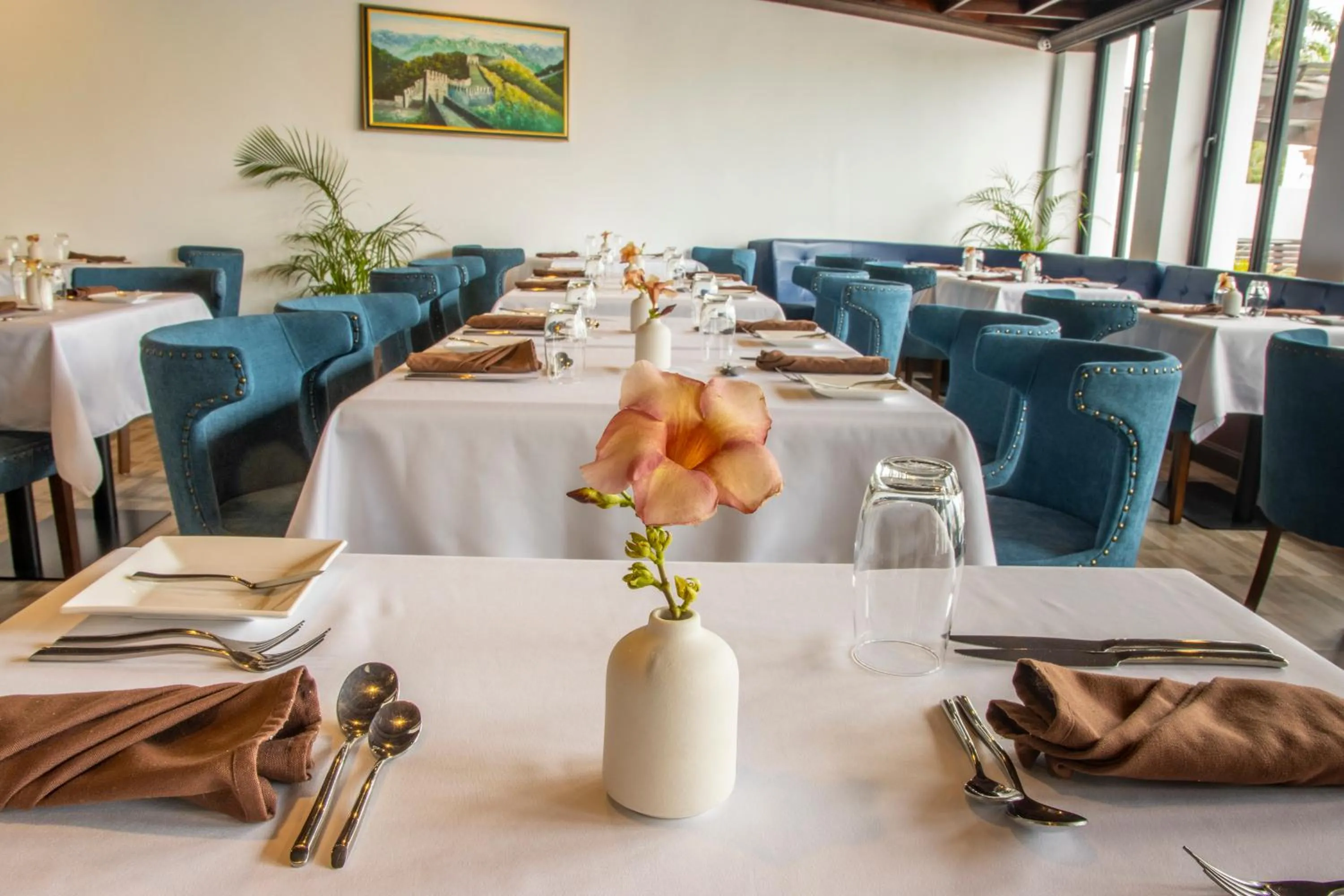 Dining area in Sago Palm Hotel
