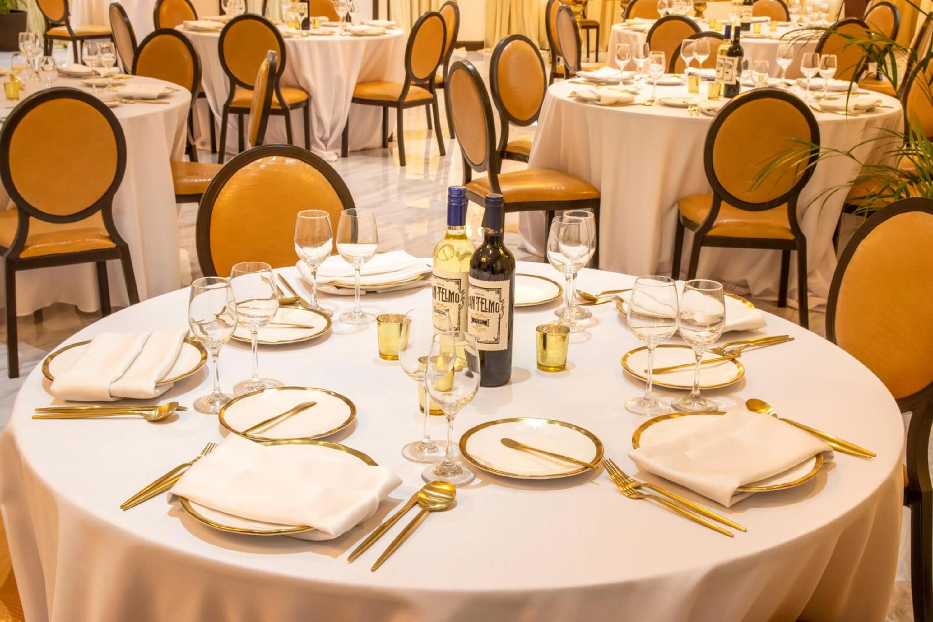 Banquet/Function facilities in Sago Palm Hotel