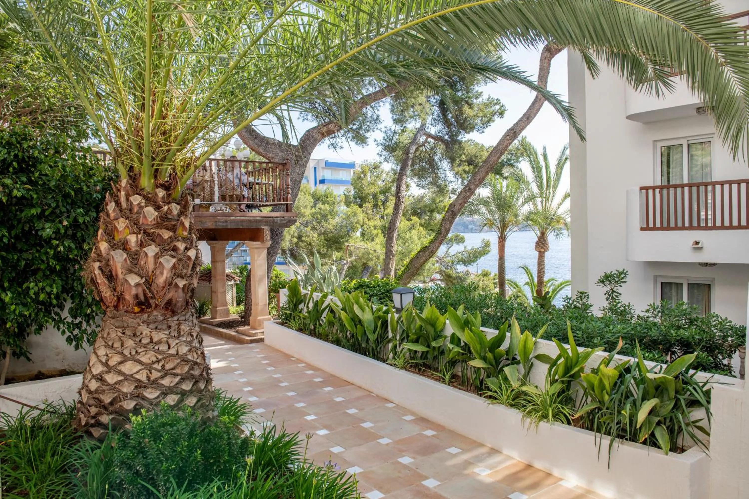 Garden in Hotel ROC Illetas & SPA