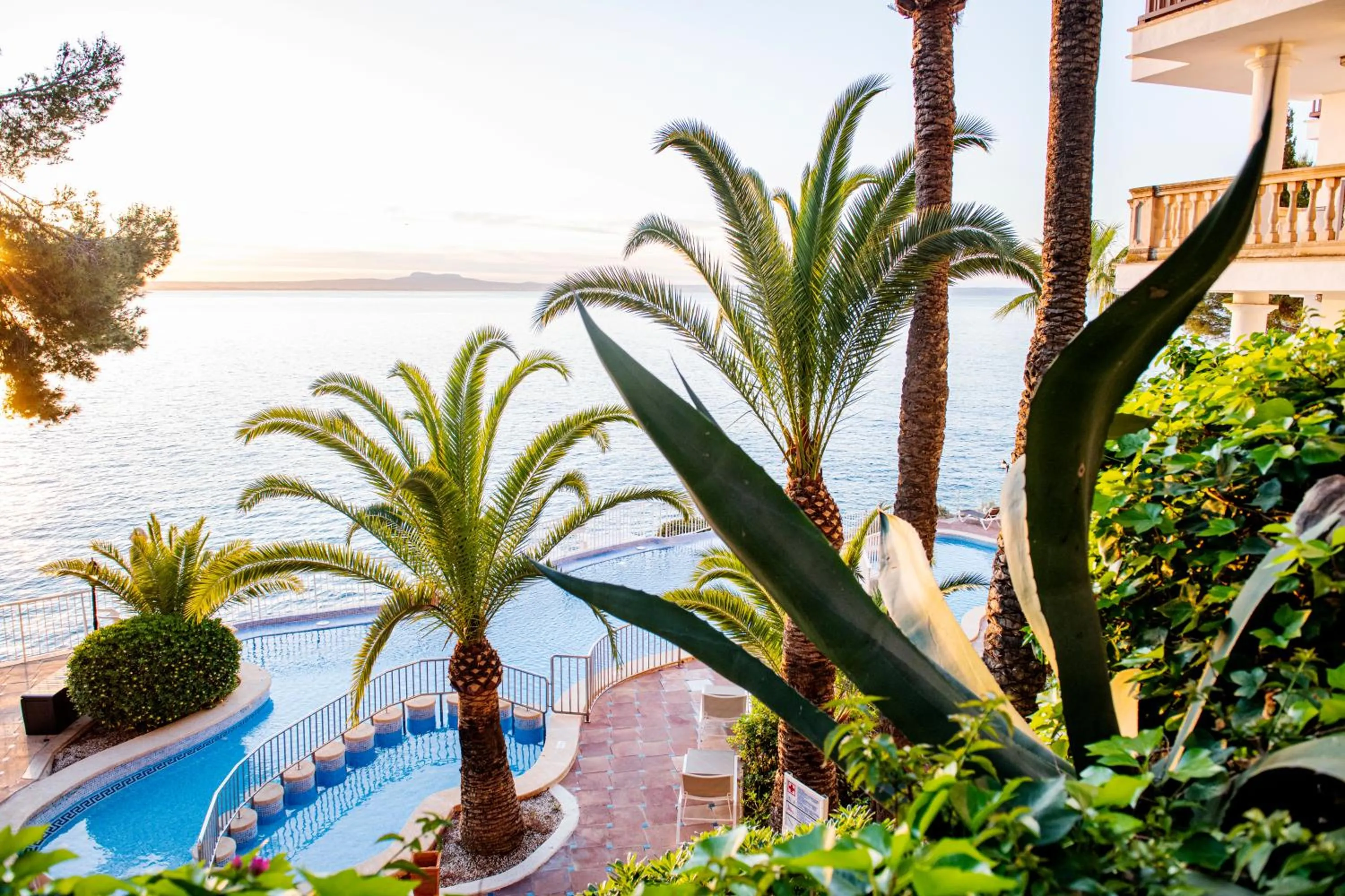 Garden in Hotel ROC Illetas & SPA