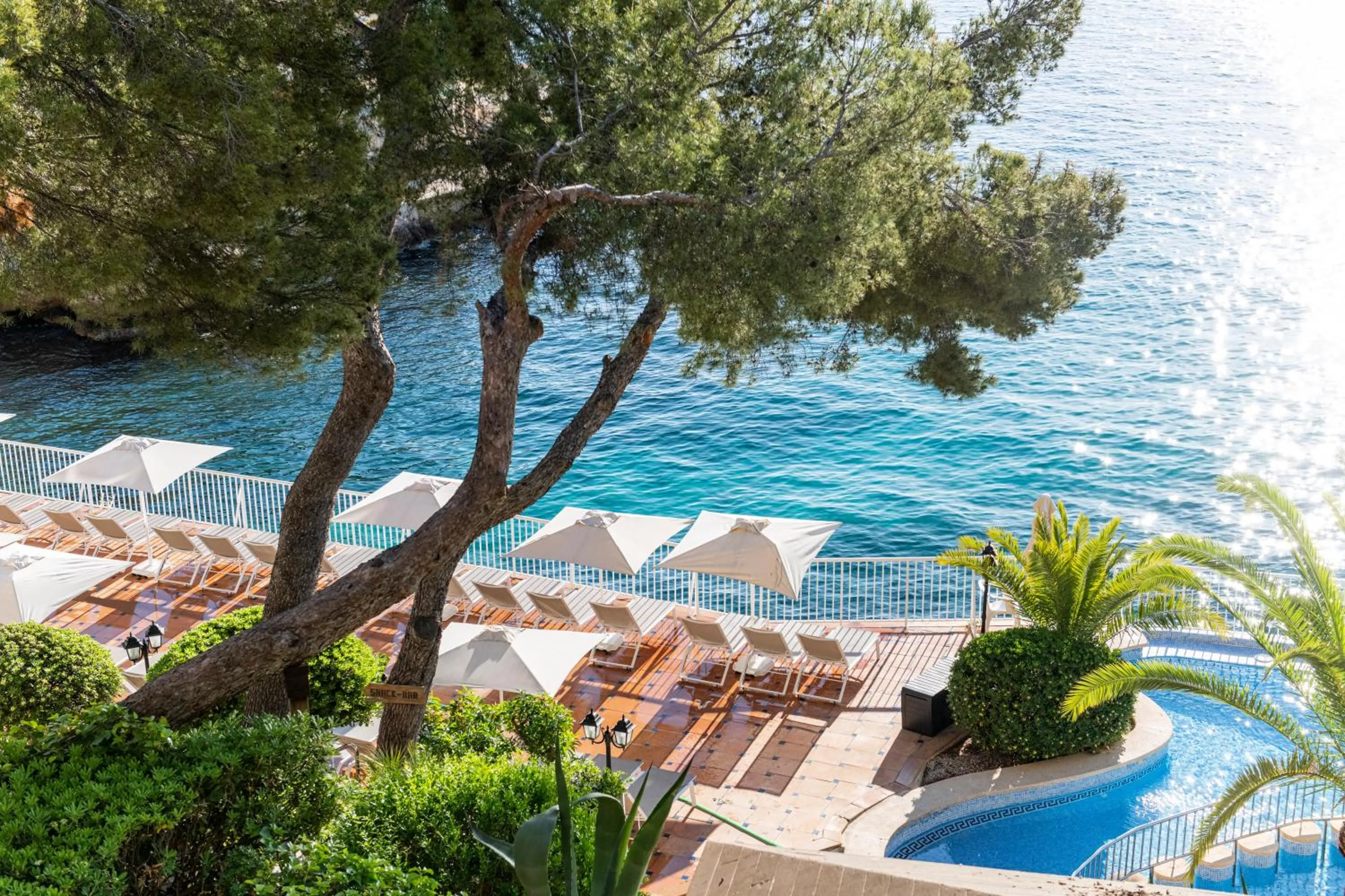 Garden in Hotel ROC Illetas & SPA