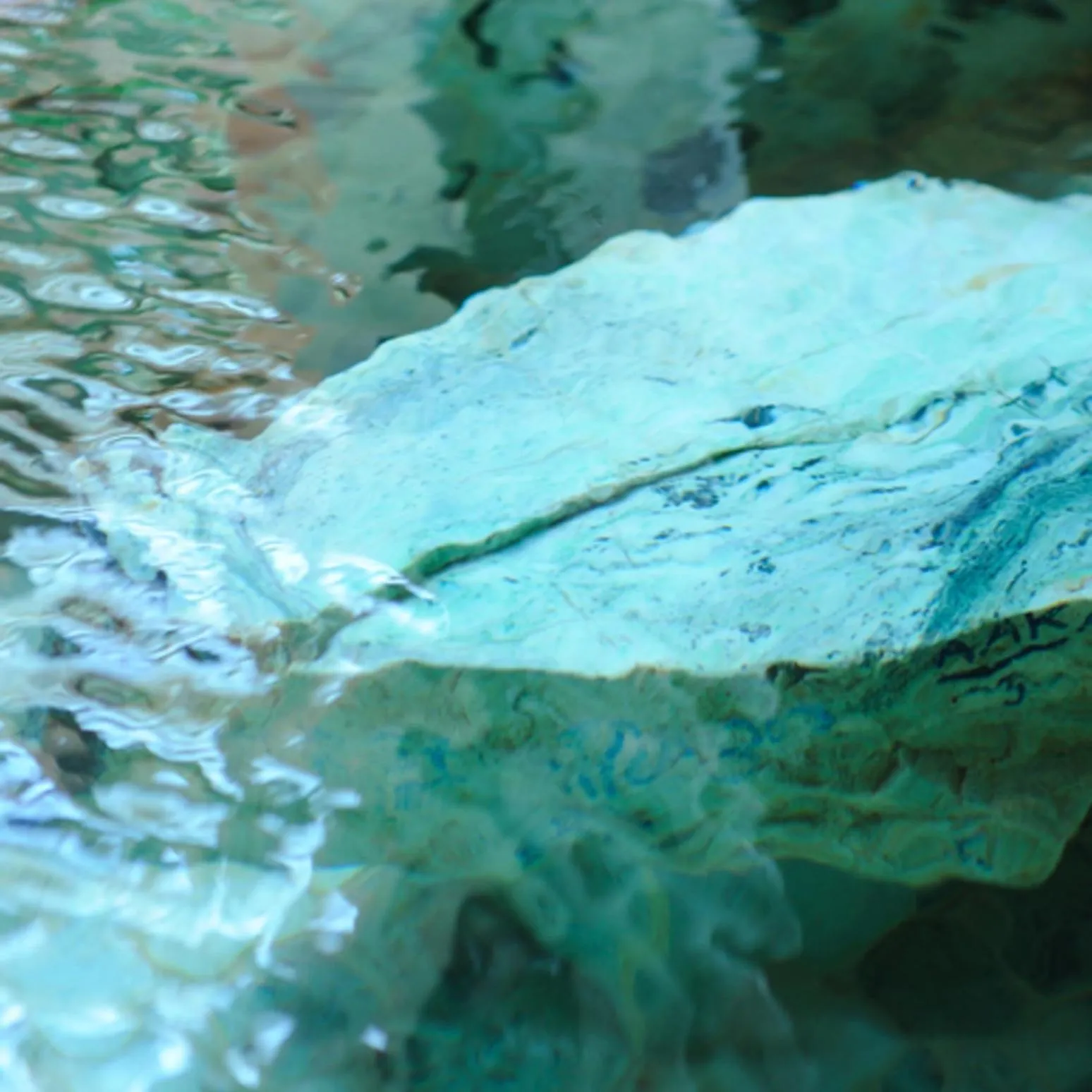 Public Bath in Watari Onsen Bettei-Kaede
