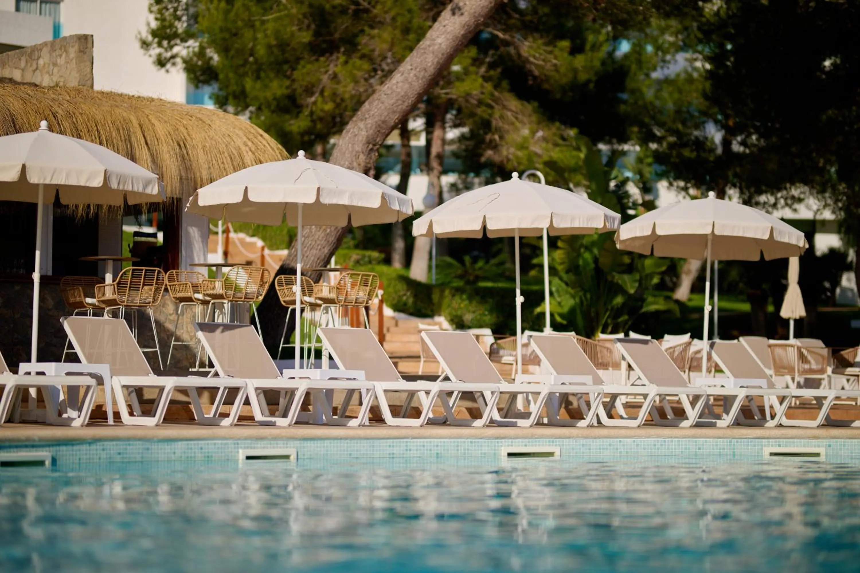 Swimming pool in AluaSoul Carolina - Adults Only