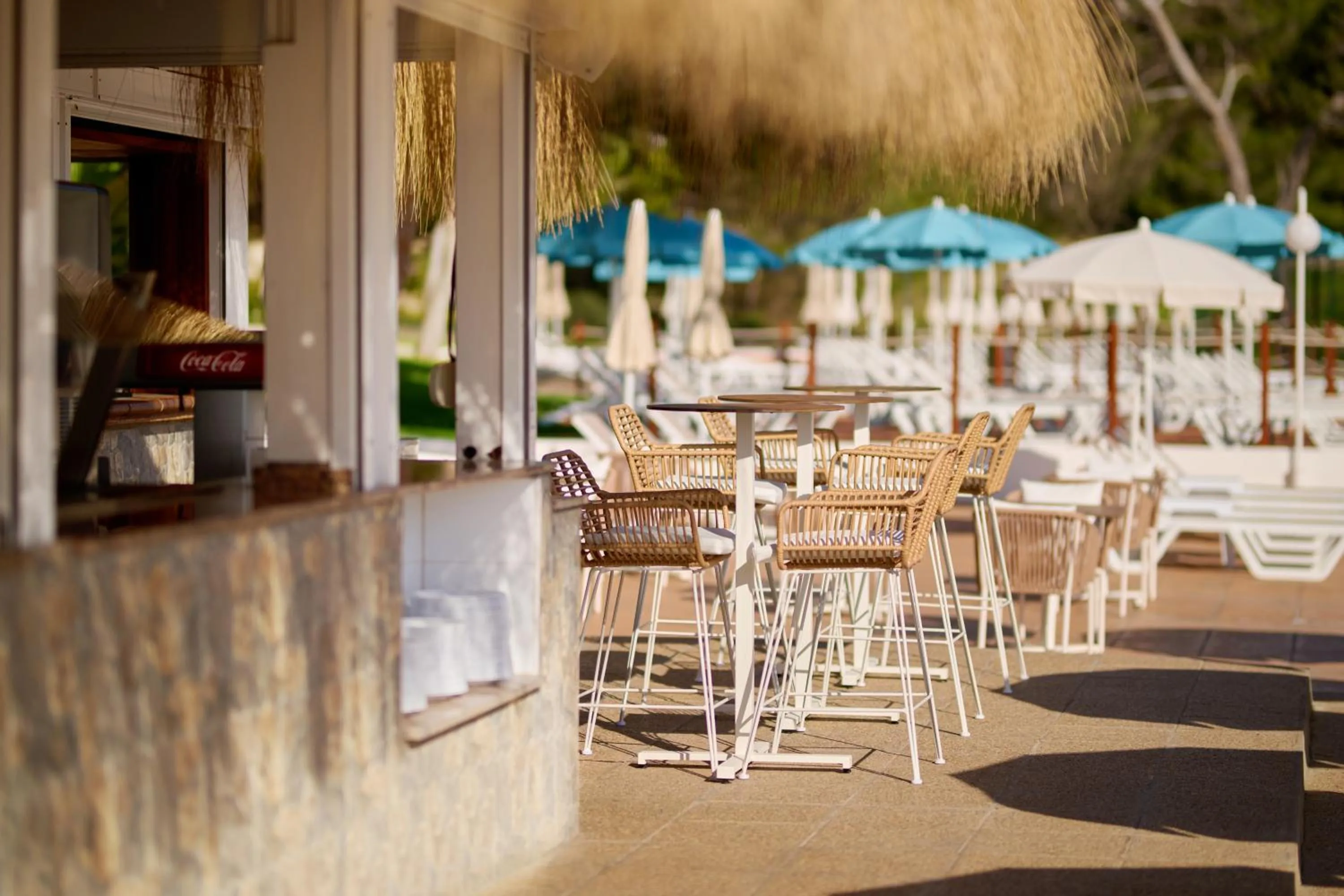 Lounge or bar in AluaSoul Carolina - Adults Only