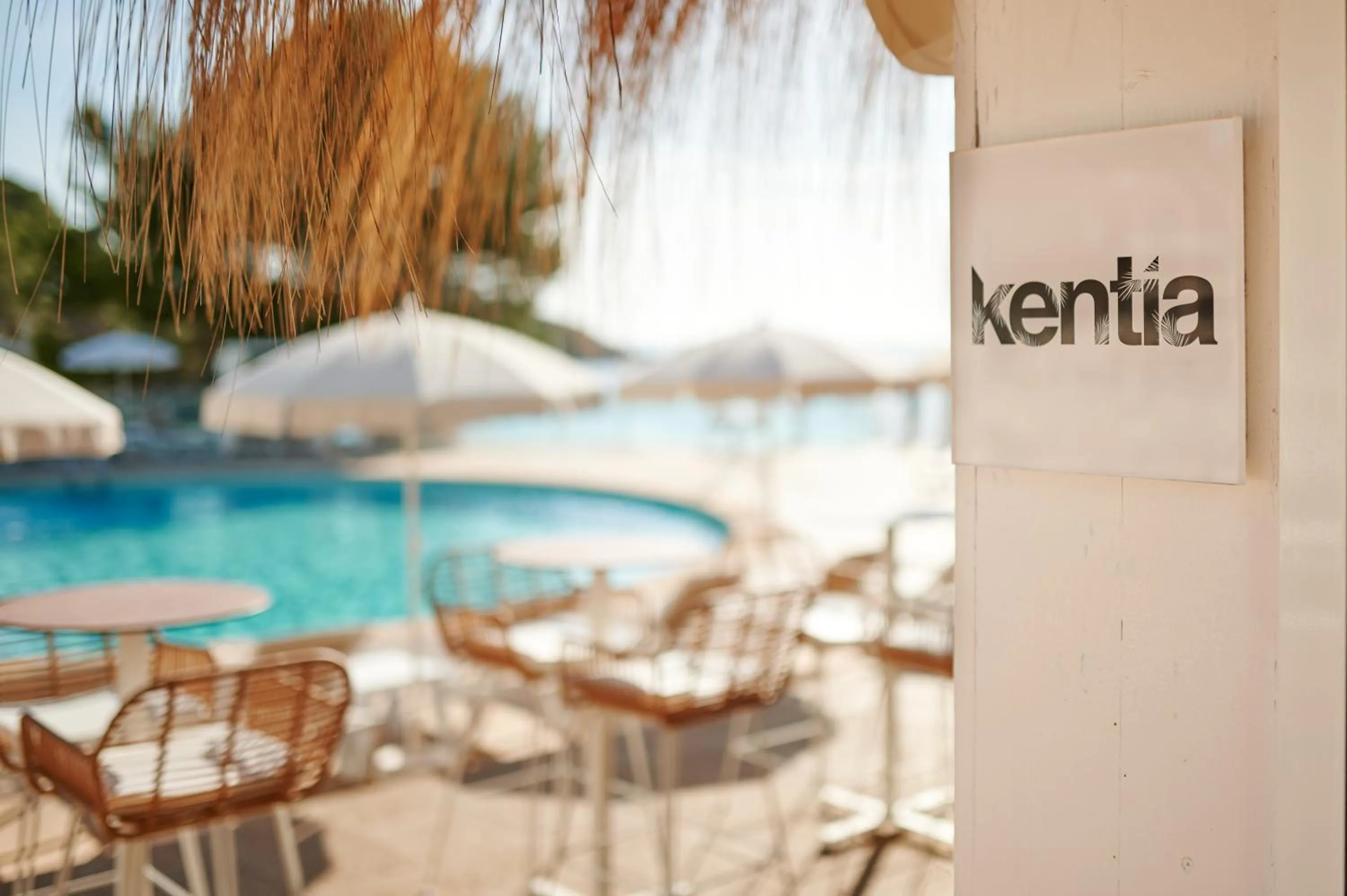 Logo/Certificate/Sign in AluaSoul Carolina - Adults Only