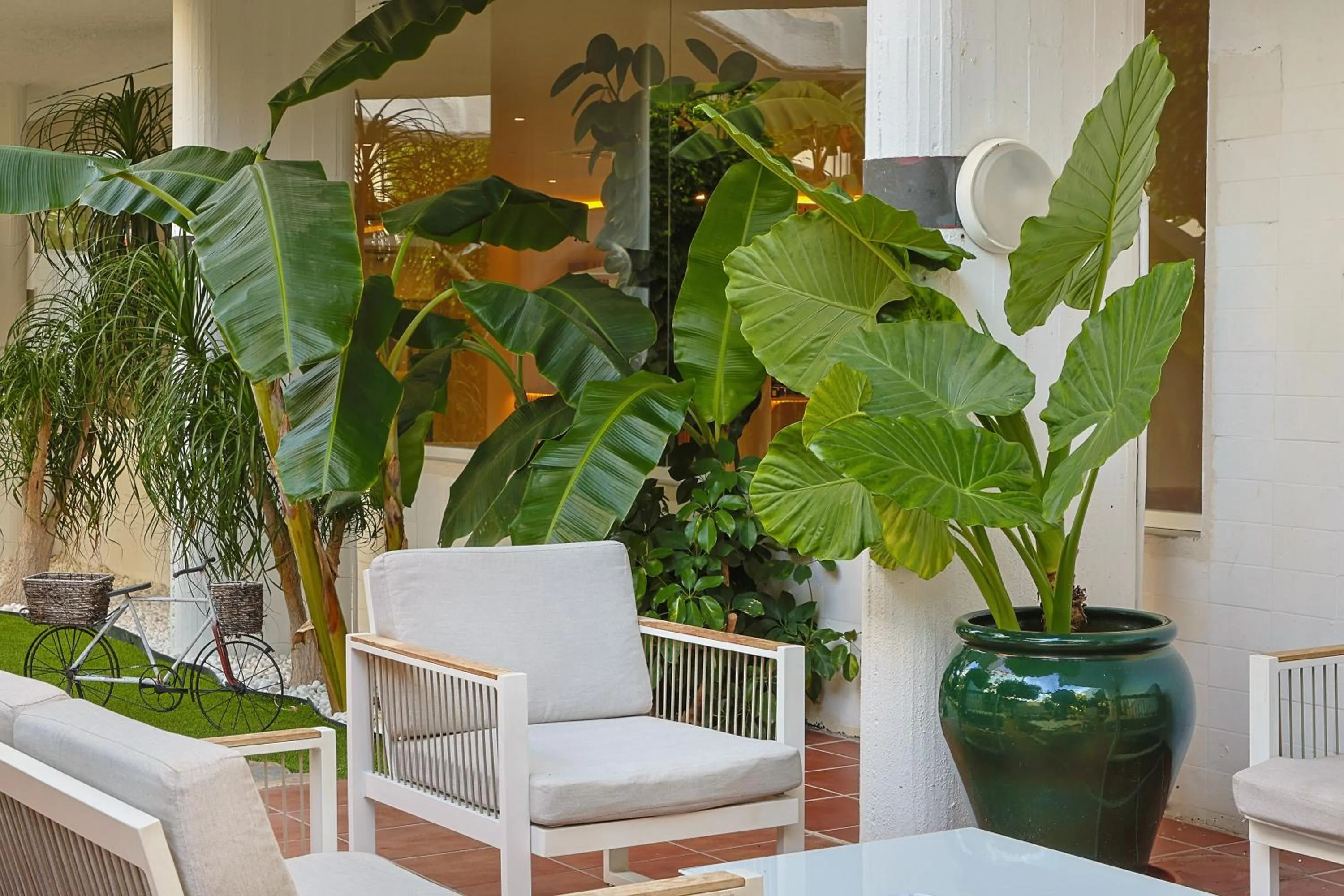 Garden in Aluasun Lago Rojo - Adults recommended