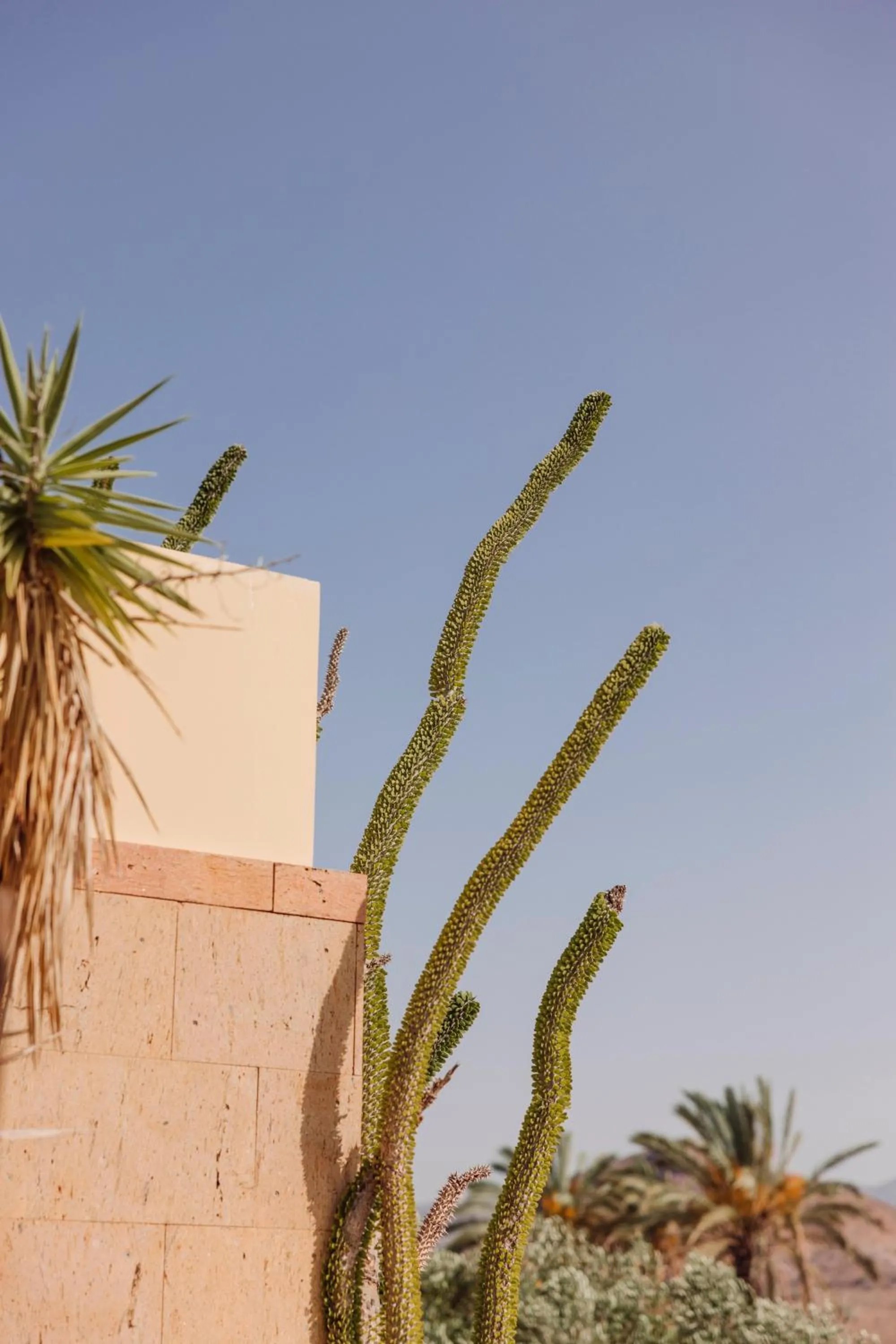 Natural landscape in Salobre Hotel Resort & Serenity