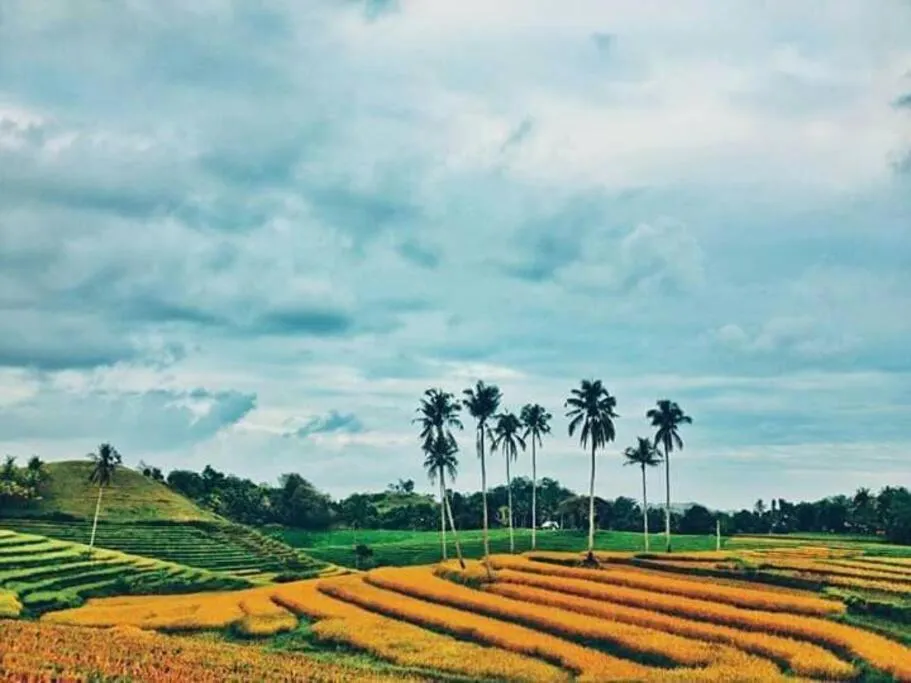Natural landscape in Bohol Sweet Home